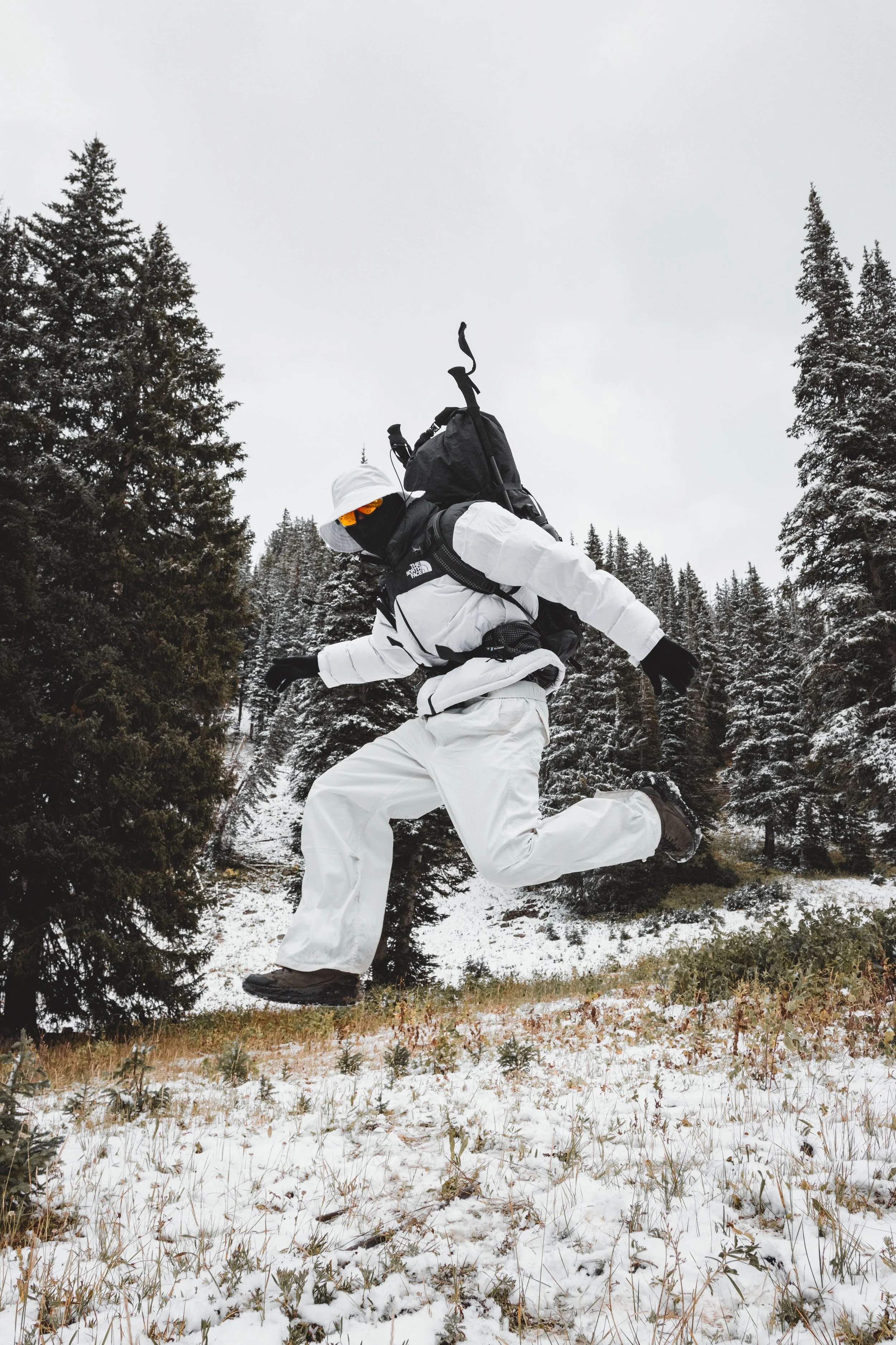 The North Face
