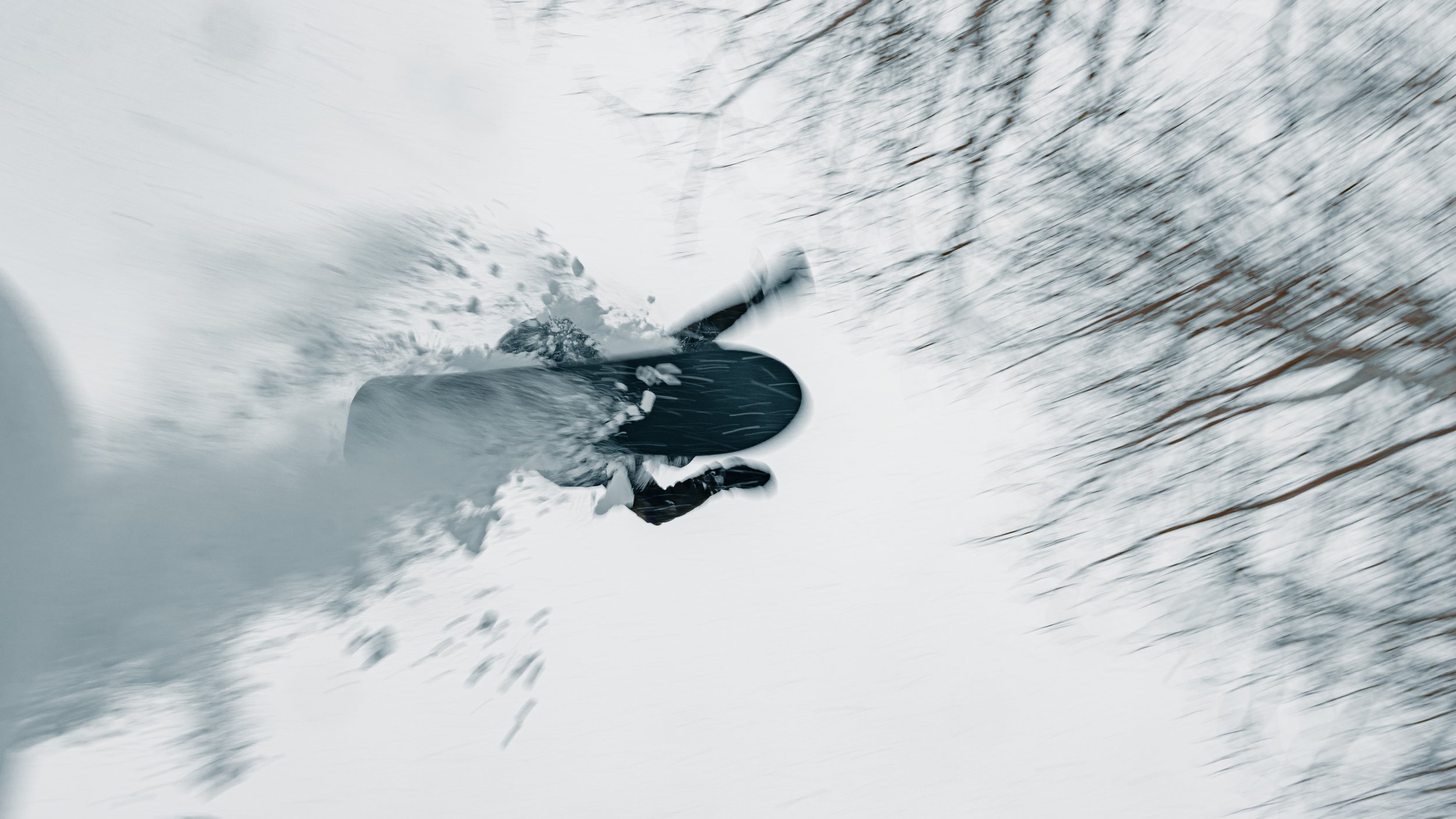 U.S. Snowboards