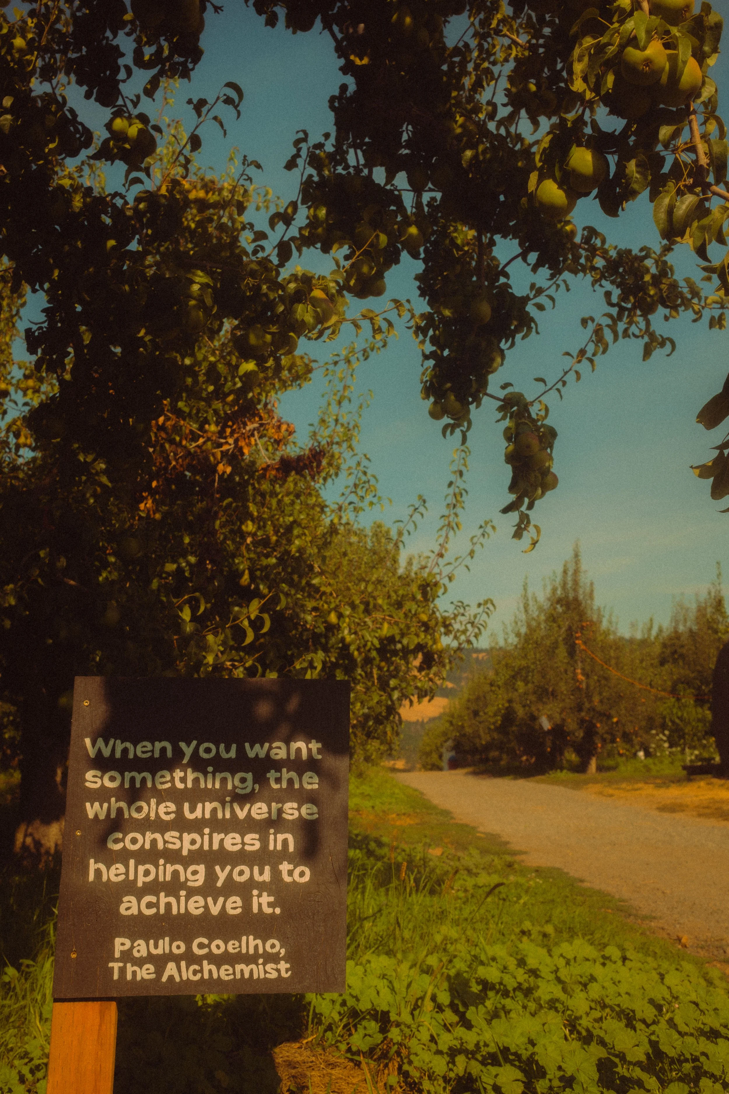 DSCF5103.jpg