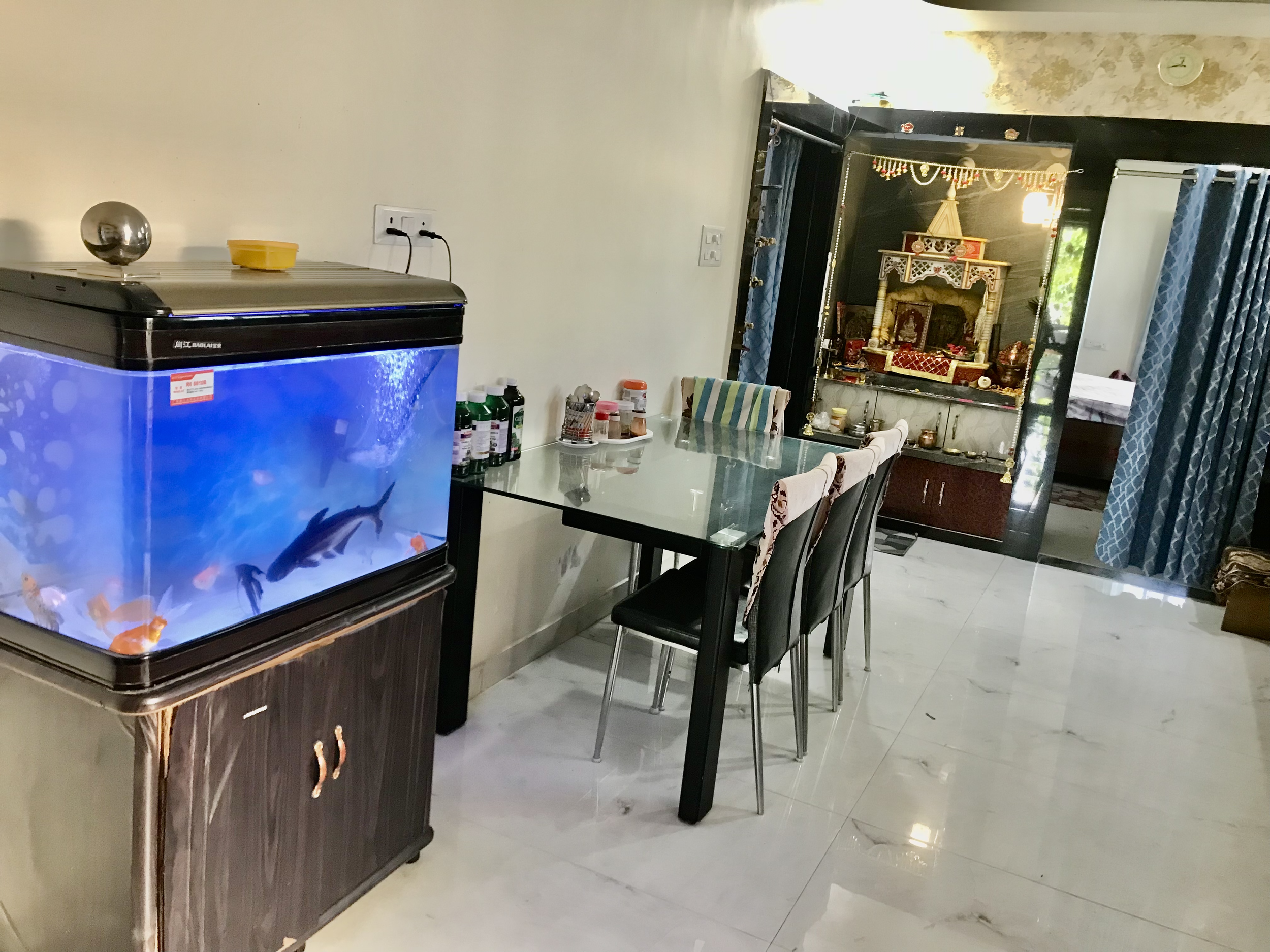 A room with a blue fish tank on a wooden stand, a dining table with chairs, and a decorated altar or shrine in the background, with curtains on the windows and a tiled floor.