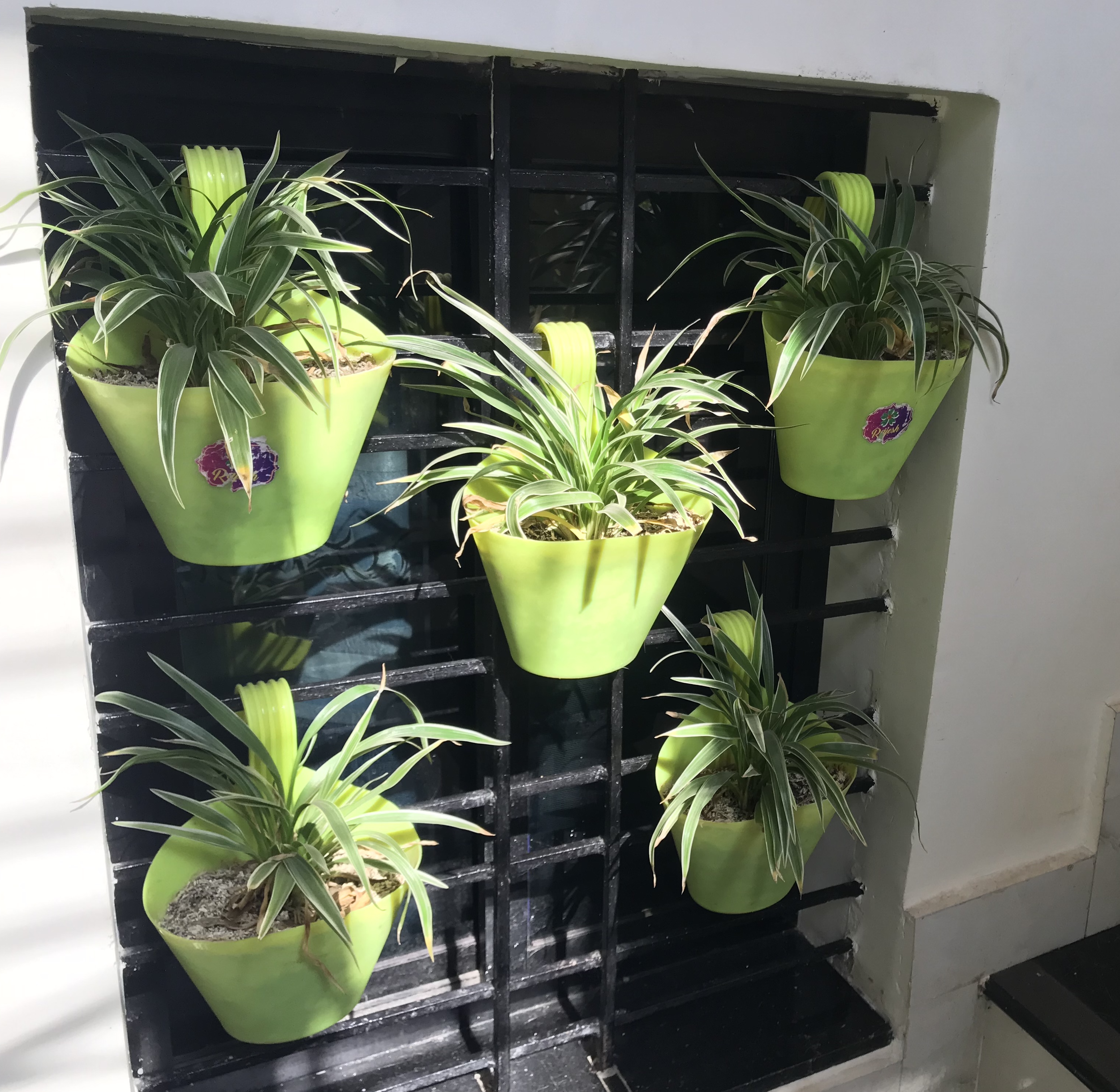 Two green flower pots with leafy plants are placed on a black metal shelf. The shelf is positioned against a wall and appears to be in an indoor setting.