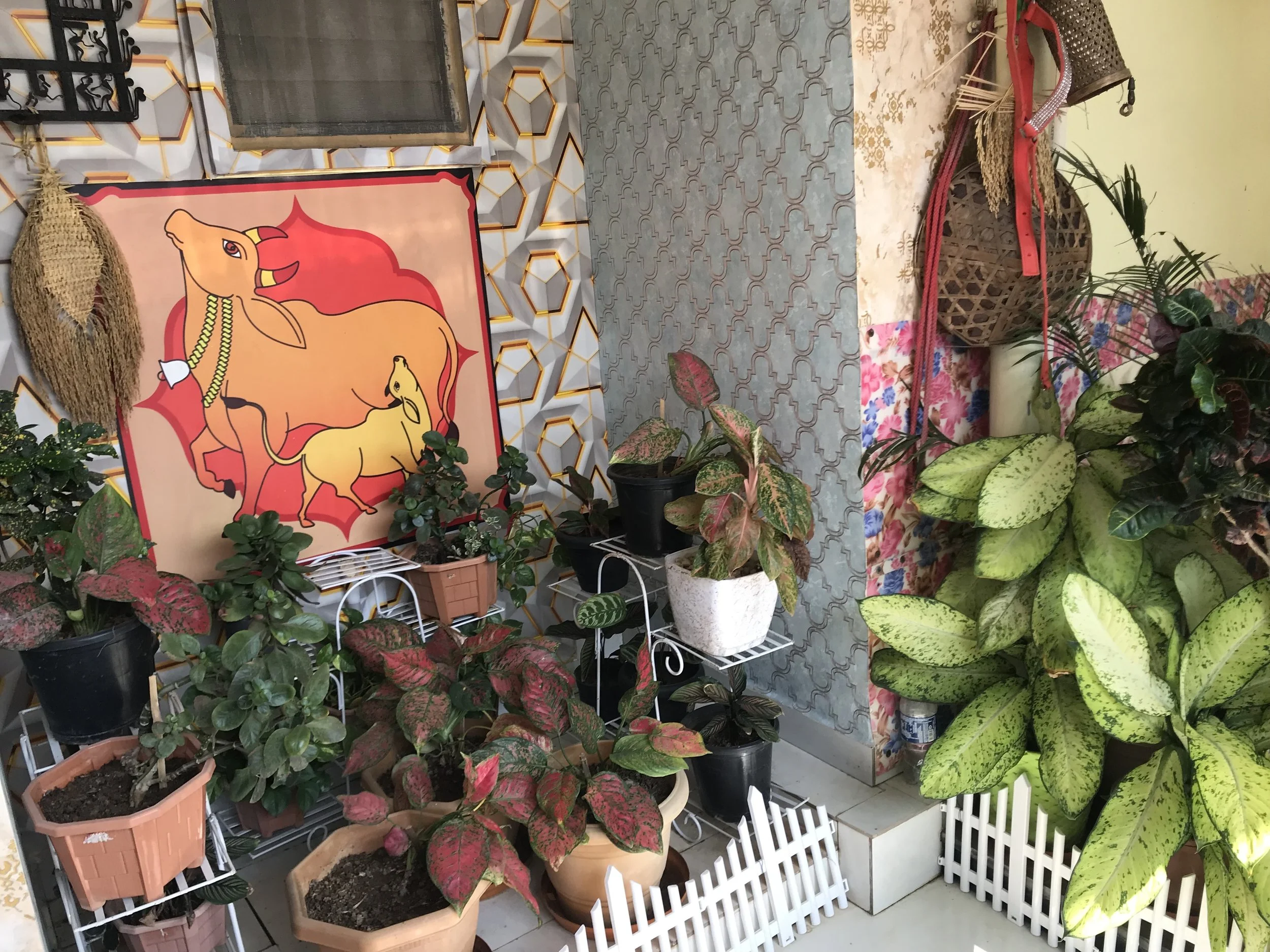 Indoor plant display with various potted plants, a decorative poster featuring a stylized animal with jewelry, a patterned wall, and a small white picket fence in a store or garden center.
