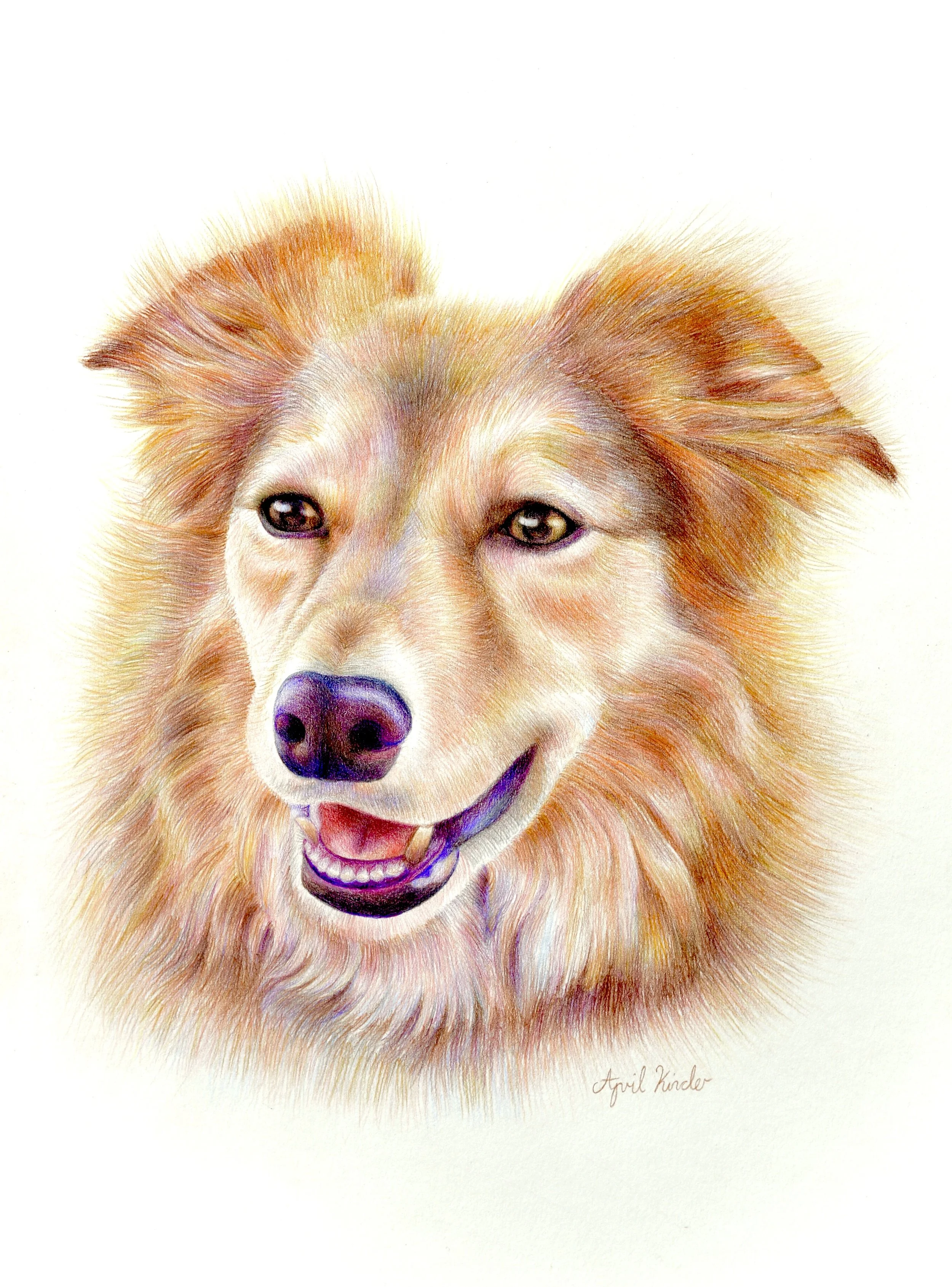 Colorful watercolor painting of a smiling dog's face, with detailed fur and expressive eyes, signed by April Kuder.