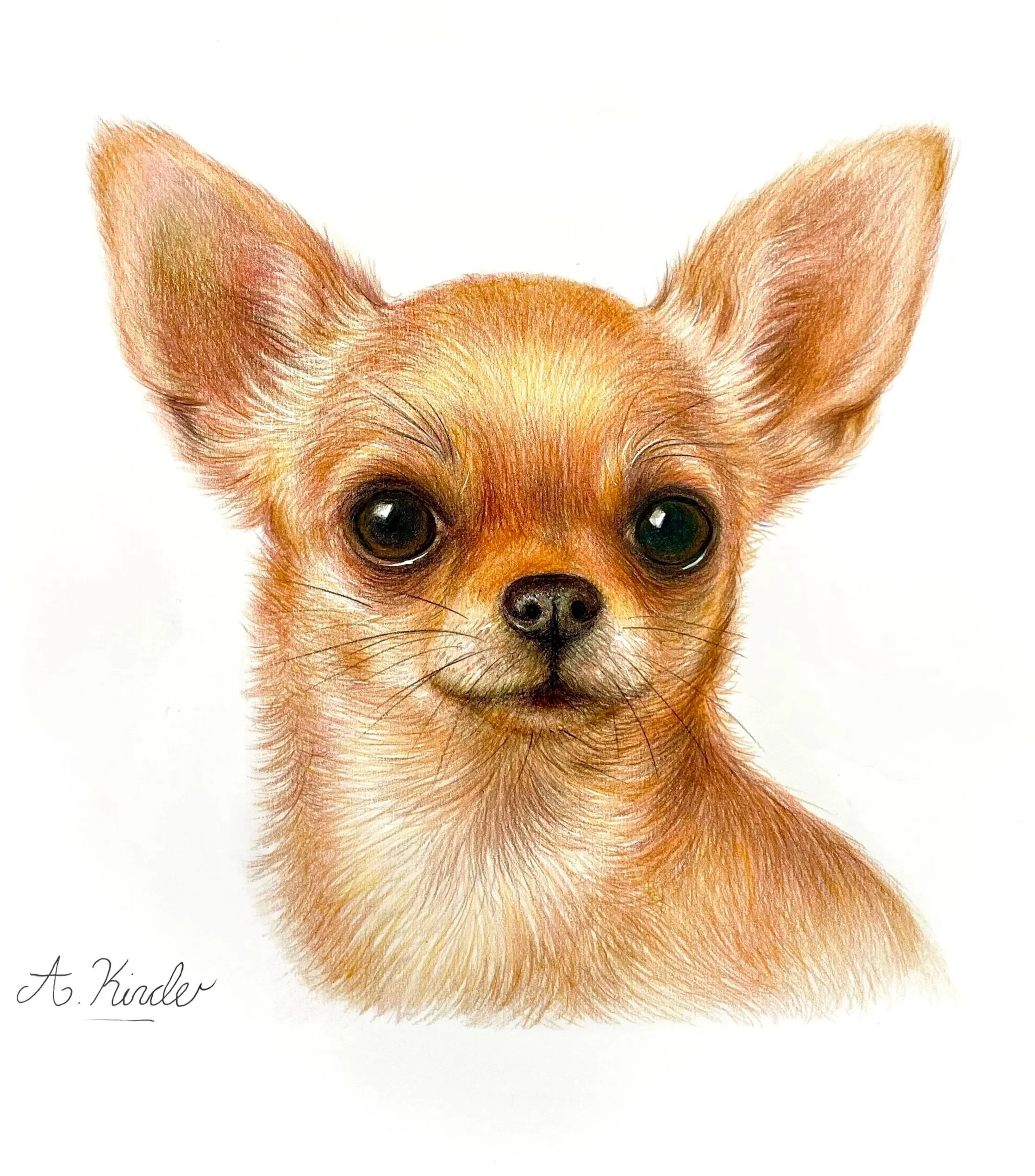Kiki - A4 Coloured Pencil