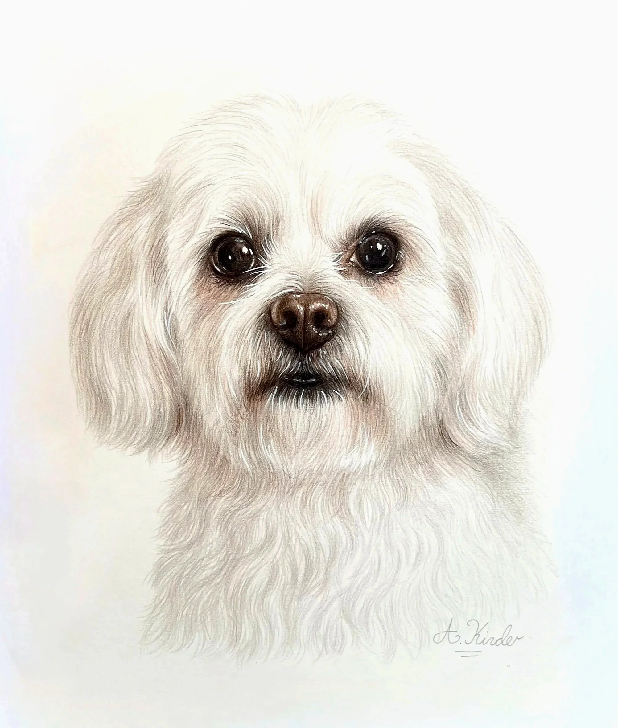 Kaia - A4 Coloured Pencil