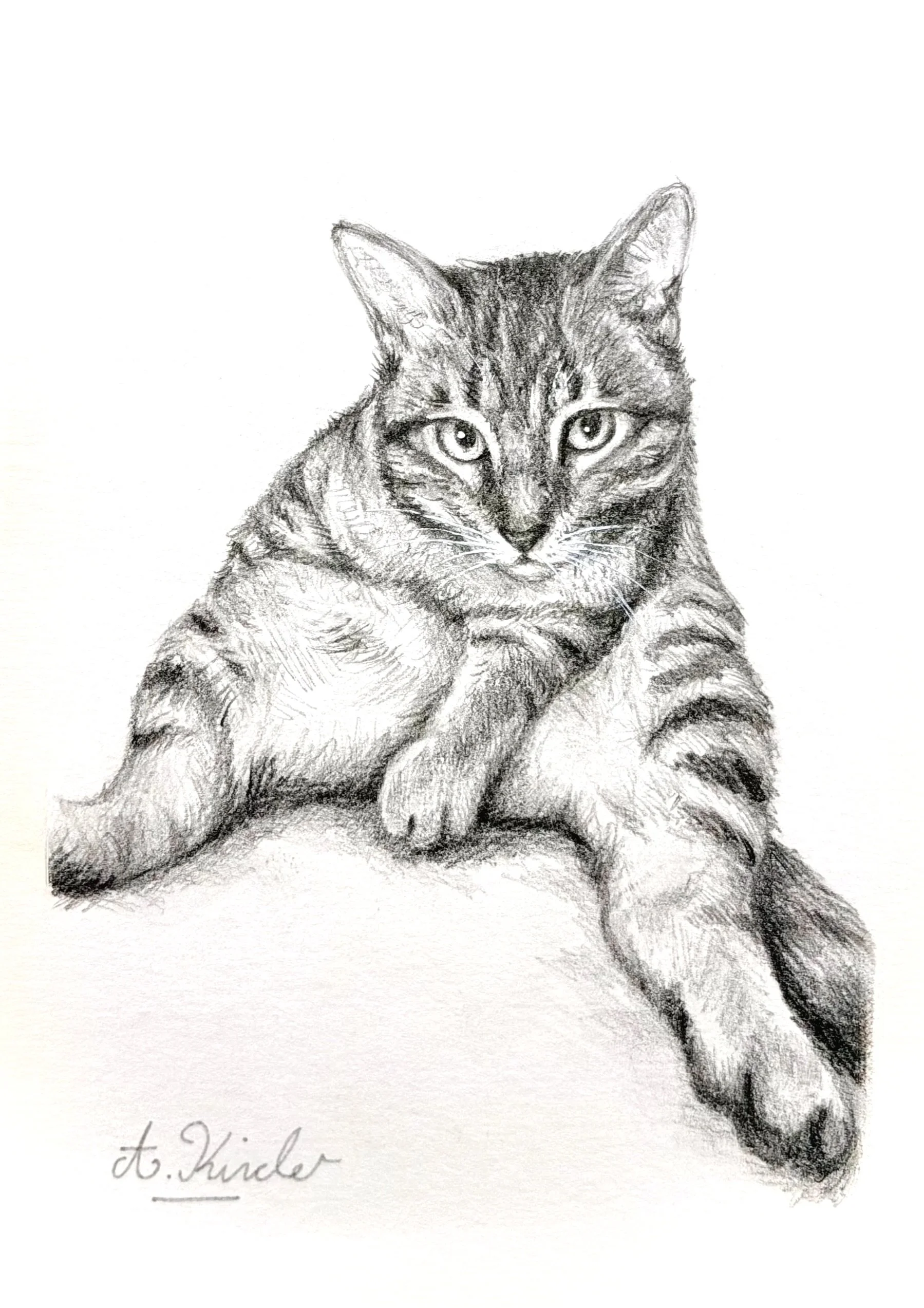 A detailed pencil sketch of a kitten with striped fur and large eyes, resting its front paws on a surface, with a signature underneath.