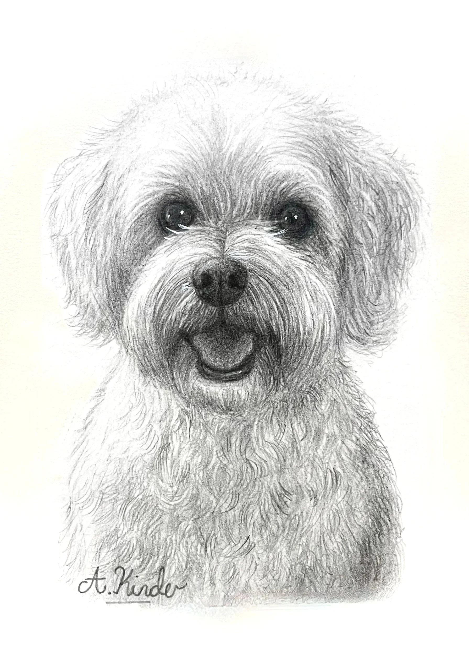 A pencil sketch of a dog's face with detailed fur and expressive eyes. The signature 'A. Kinder' is visible at the bottom.