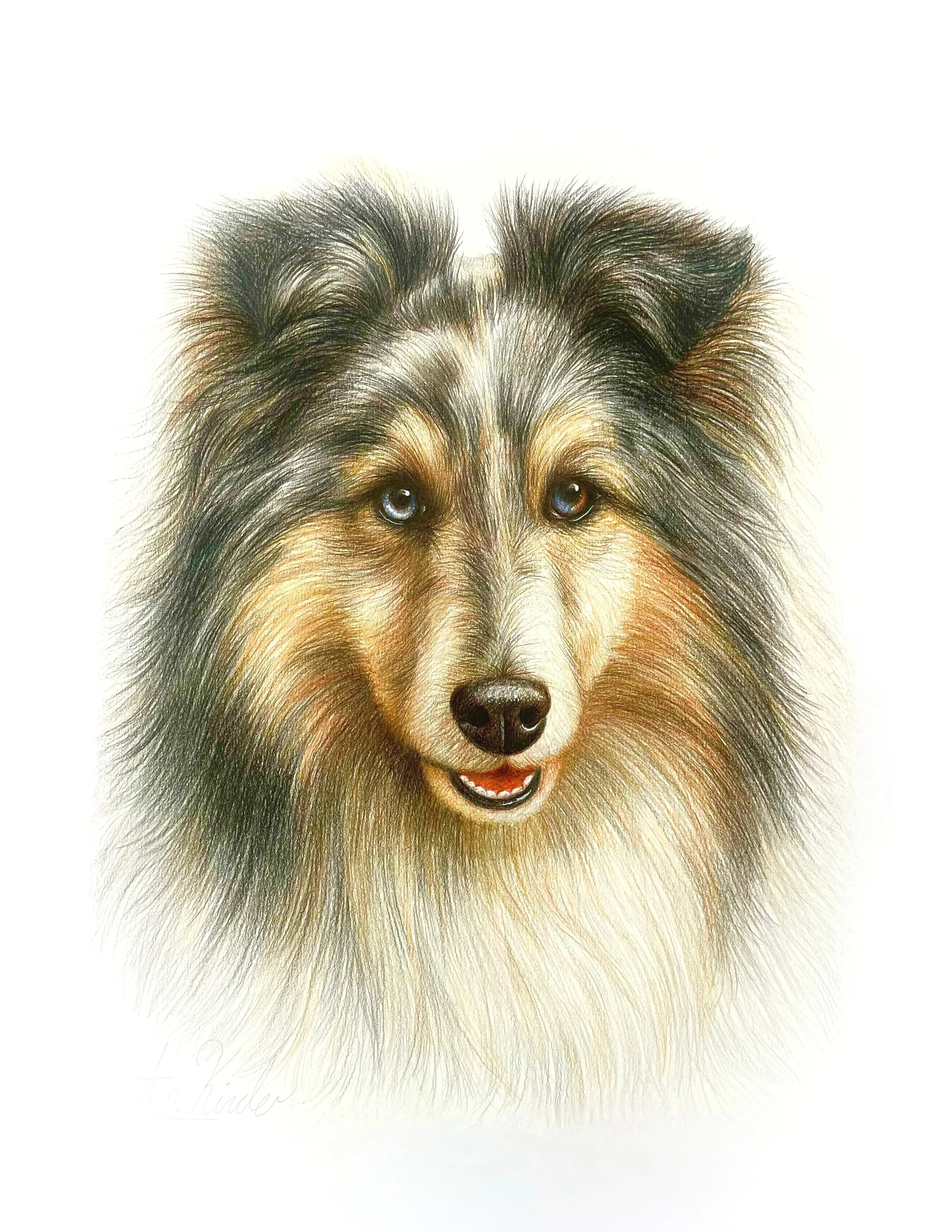 A highly detailed, artistic depiction of a dog, possibly a Siberian Husky or similar breed, with multicolored fur and striking blue eyes, set against a white background.