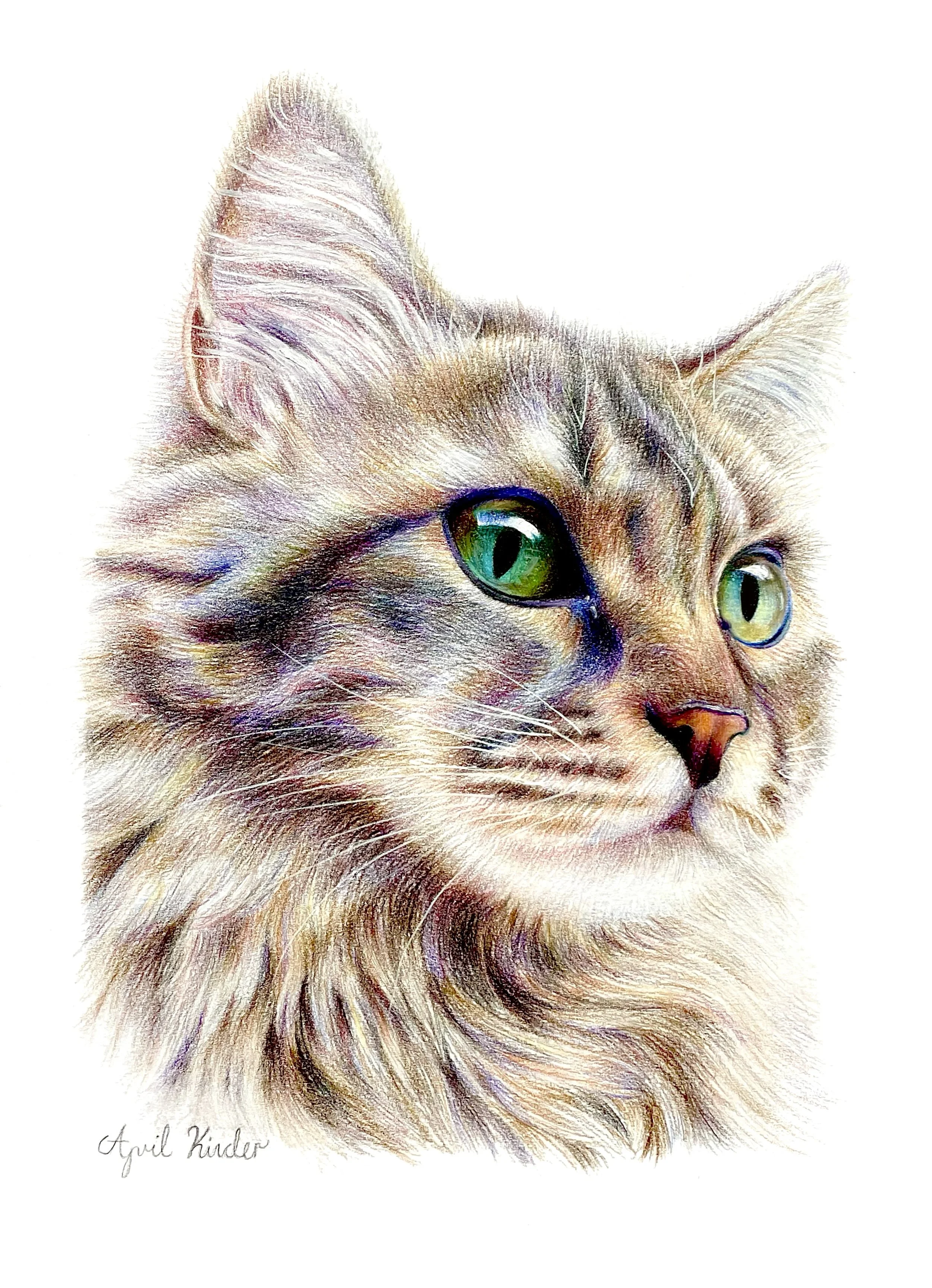 Close-up illustration of a kitten's face with detailed fur, large green eyes, and perky ears, signed by April Kinder.