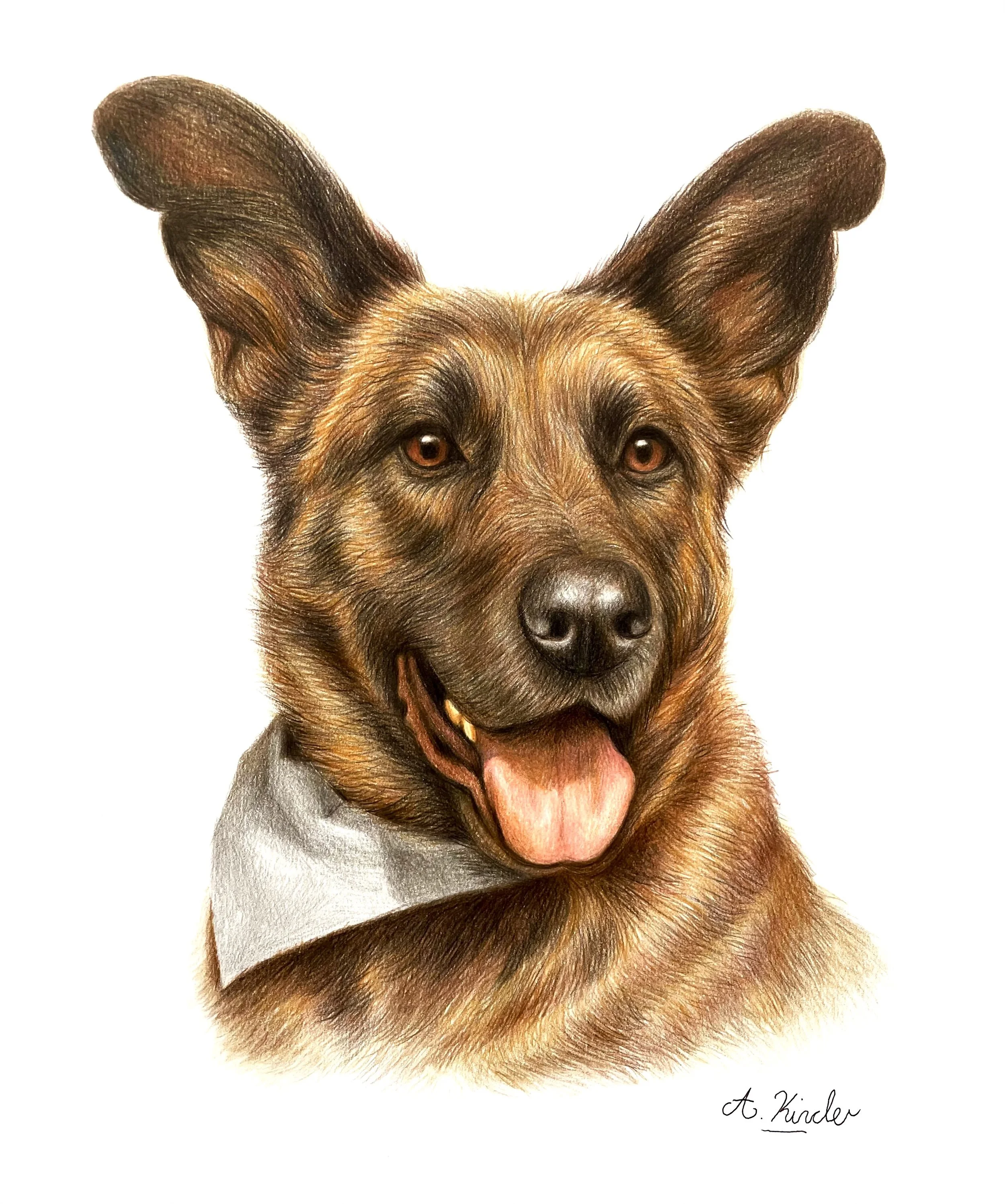 Toffee - A4 Coloured Pencil
