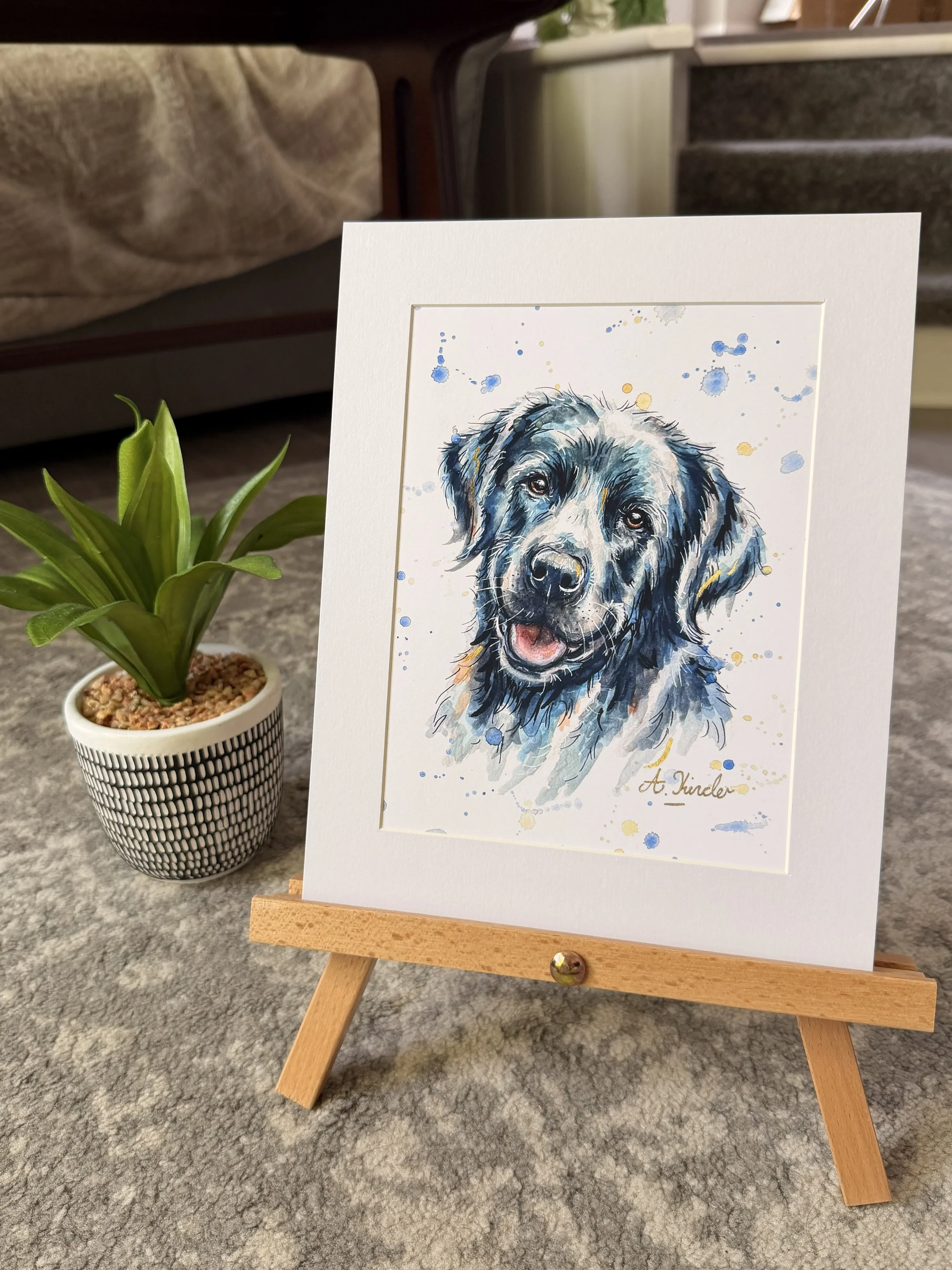Black Labrador Watercolour Print