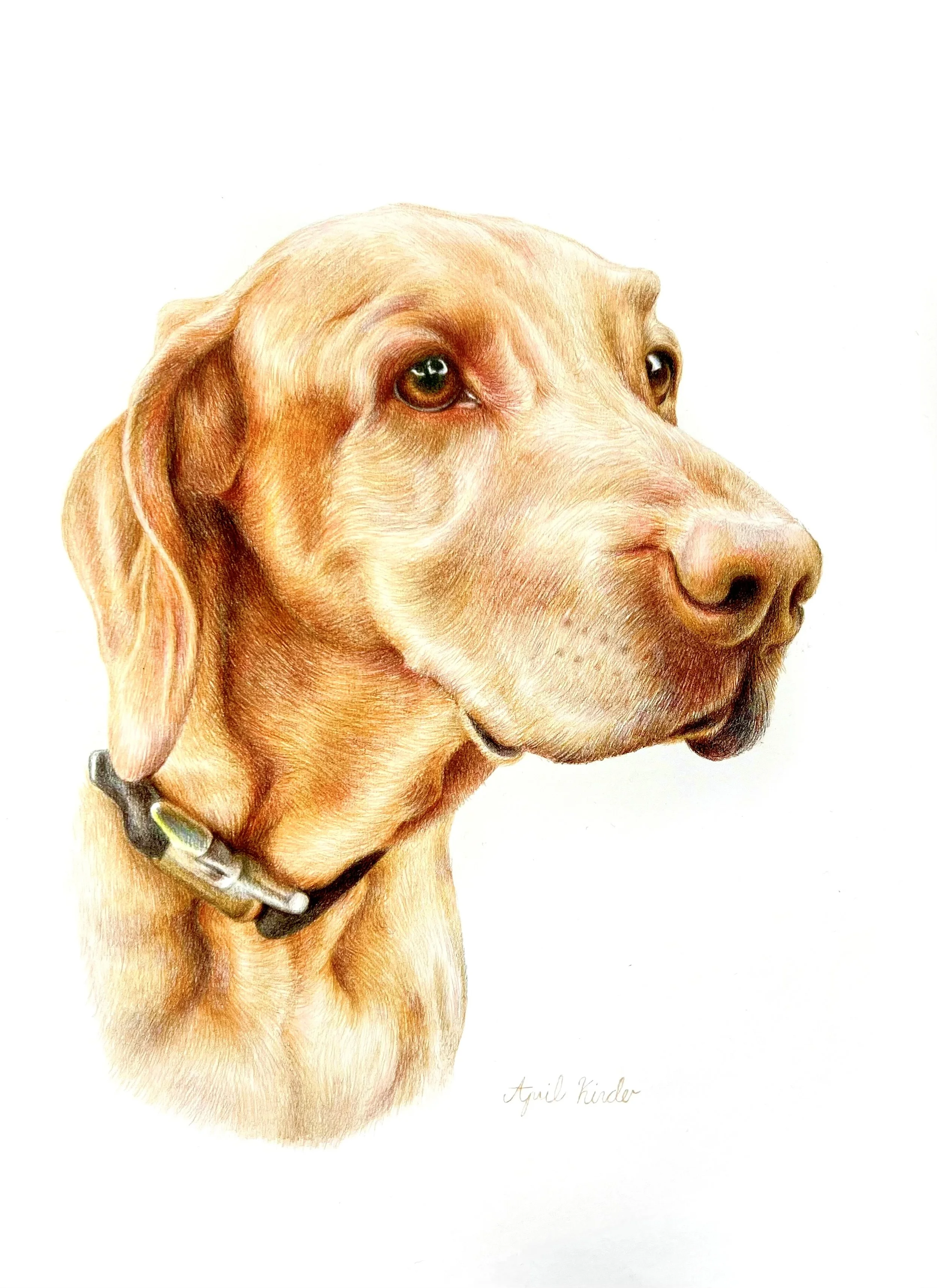 Nyah - A3 Coloured Pencil