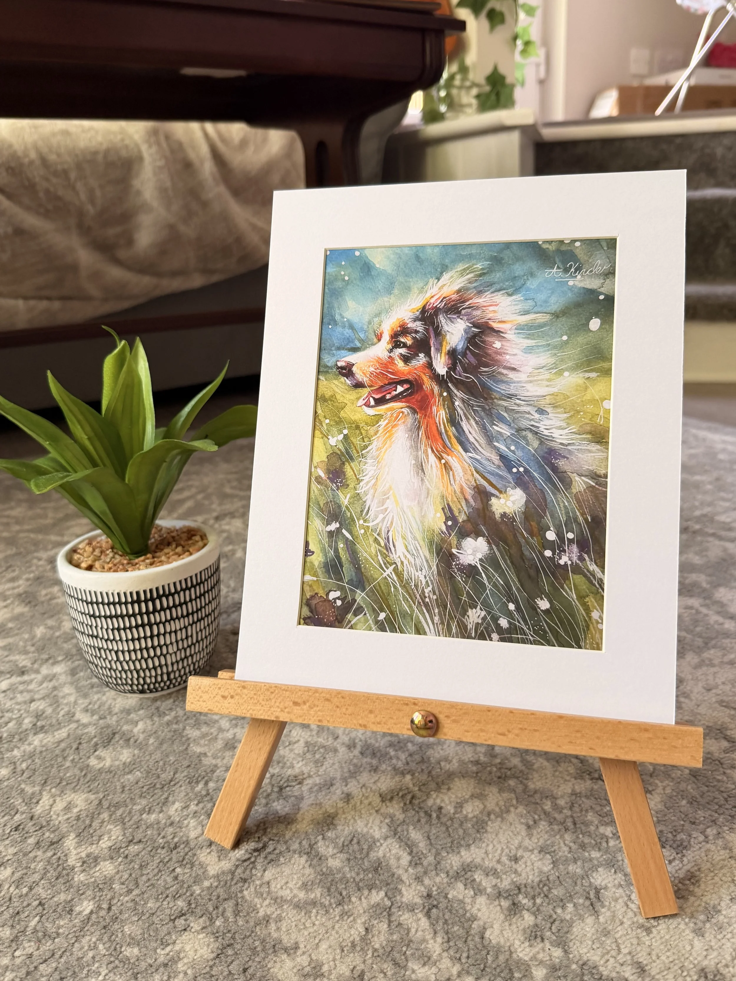 Australian Shepherd Watercolour Print