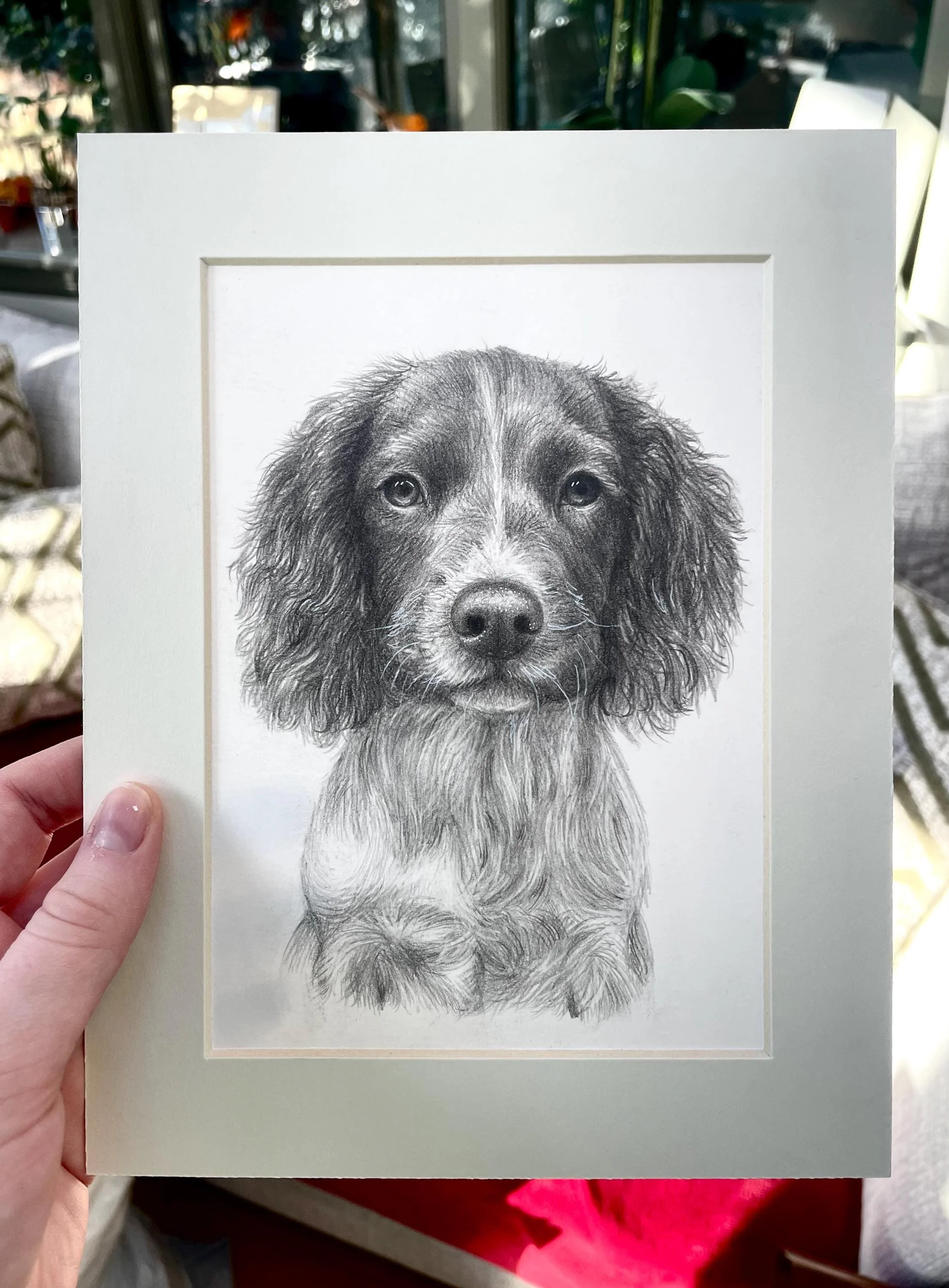 Graphite Pencil Pet Portrait