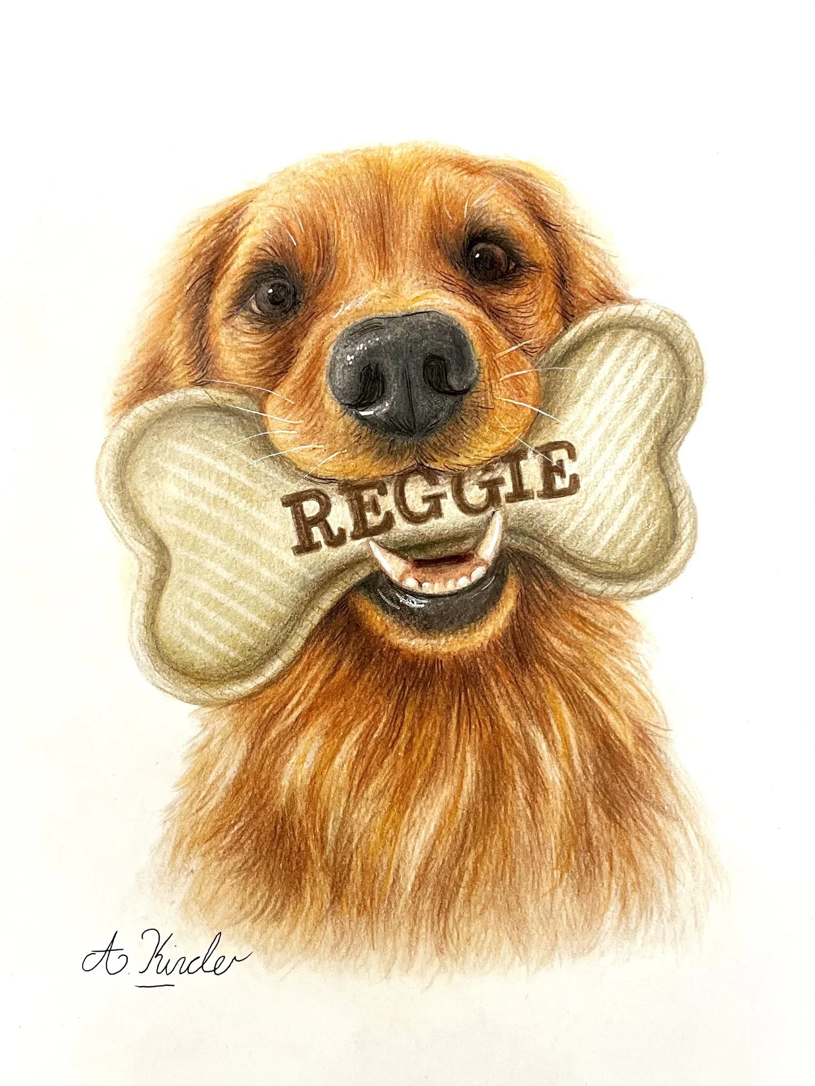 A realistic colored pencil drawing of a friendly dog holding a large bone with the word 'REGGIE' written on it in shadowed text, with the artist's signature in cursive at the bottom left.