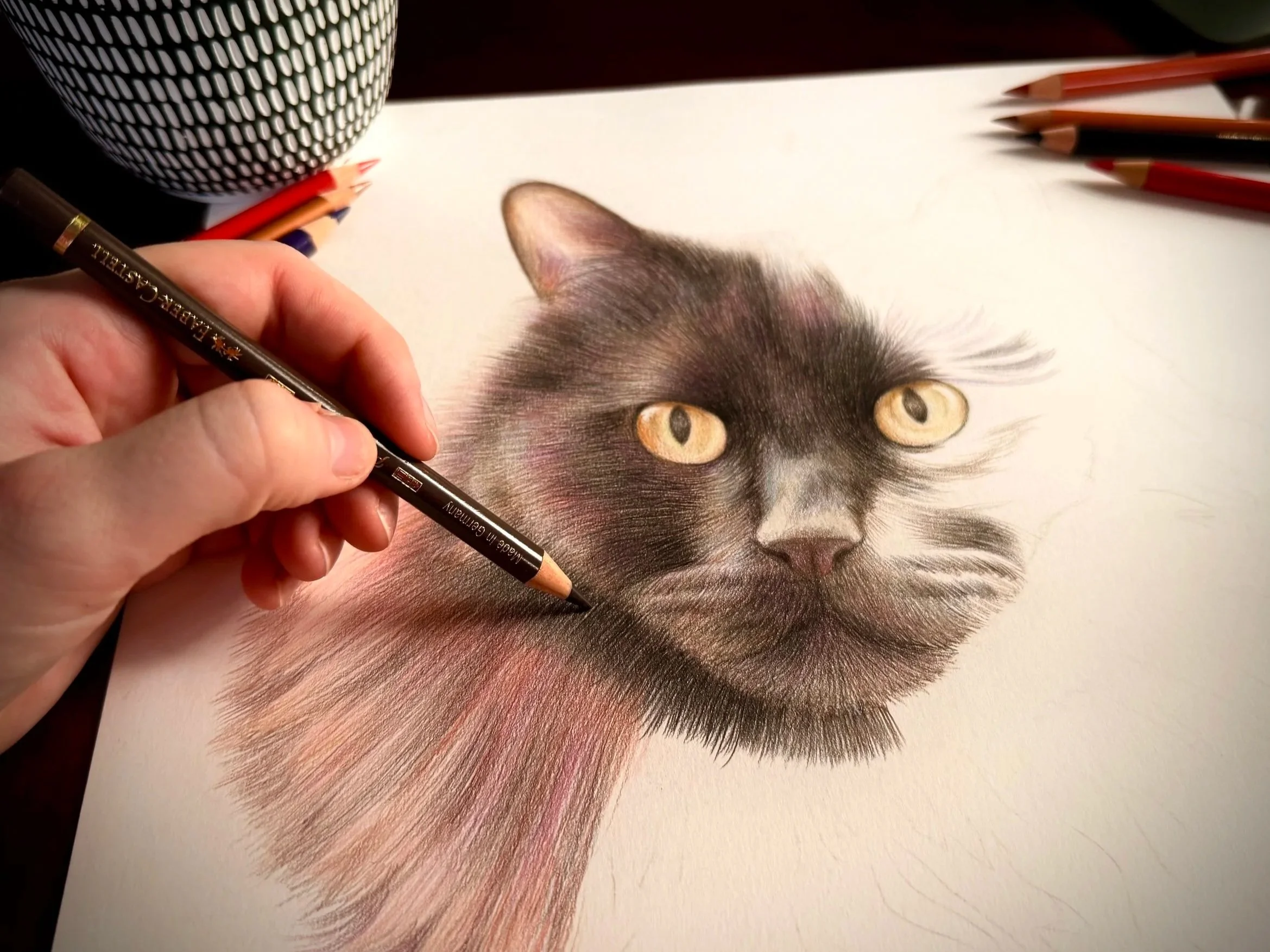 Artist's hand colouring a portrait of a black cat with large, realistic eyes, with coloured pencils.