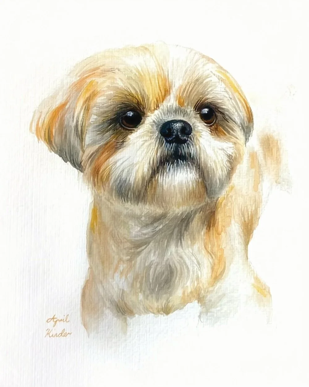 Watercolour Pet Portrait