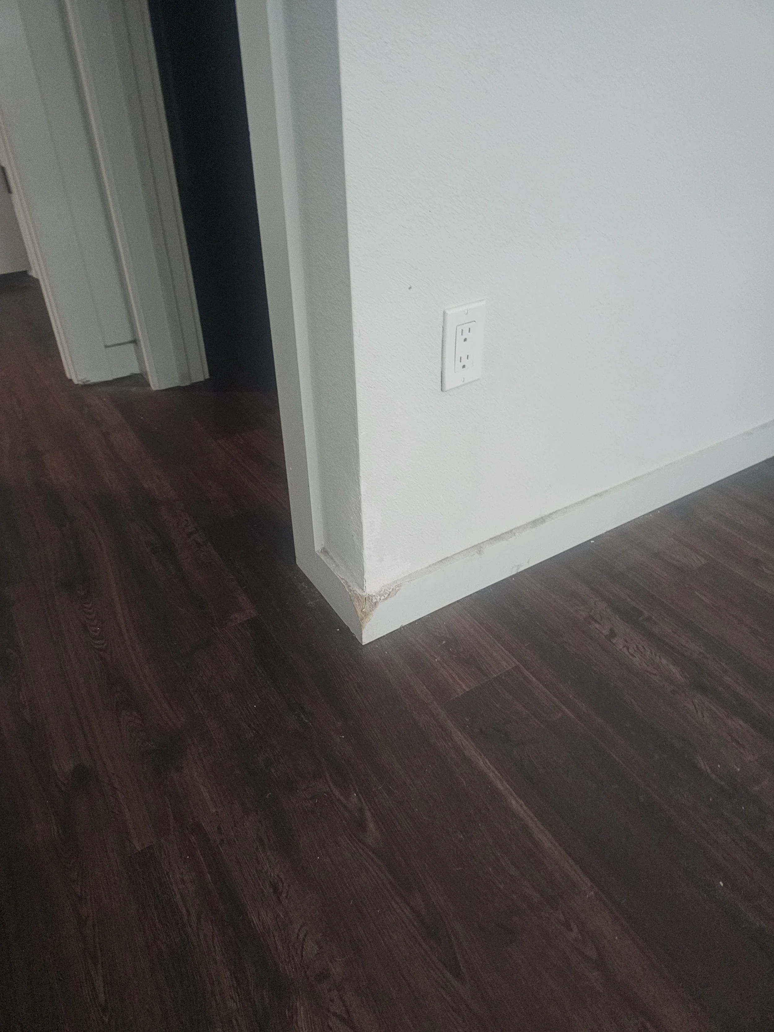Pet damage before repair, second project