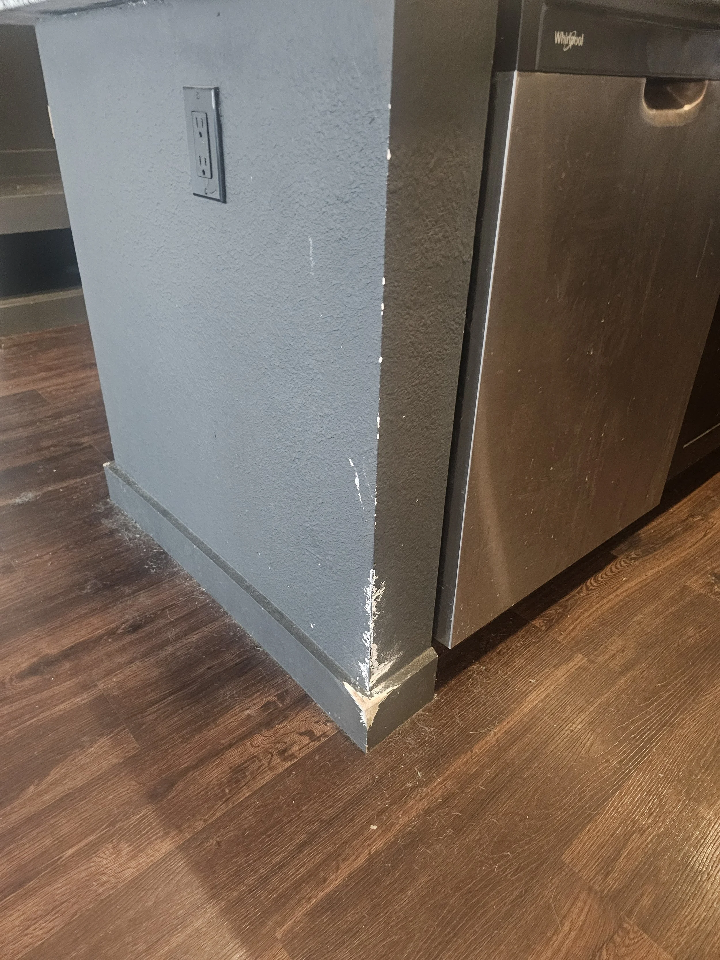 Pet damage before repair, first project