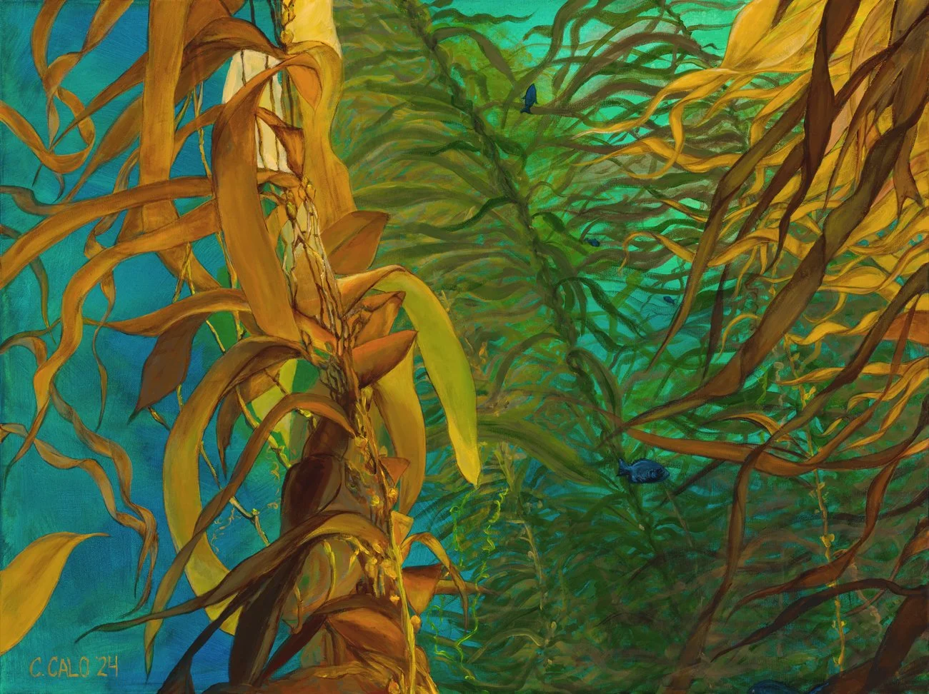 Kelp Forest