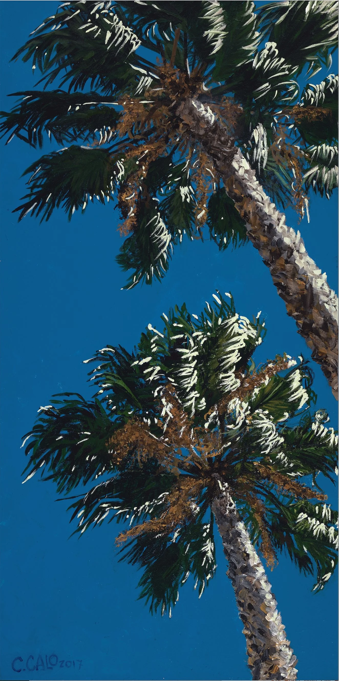 Palm Trees In The Wind