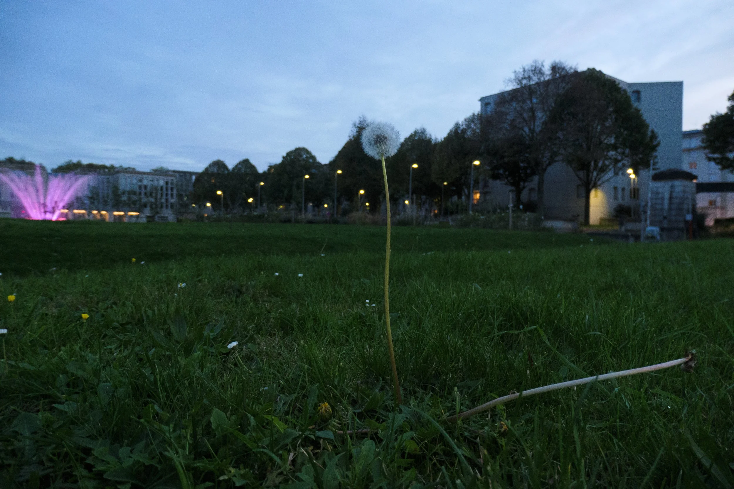 P1001125.JPG