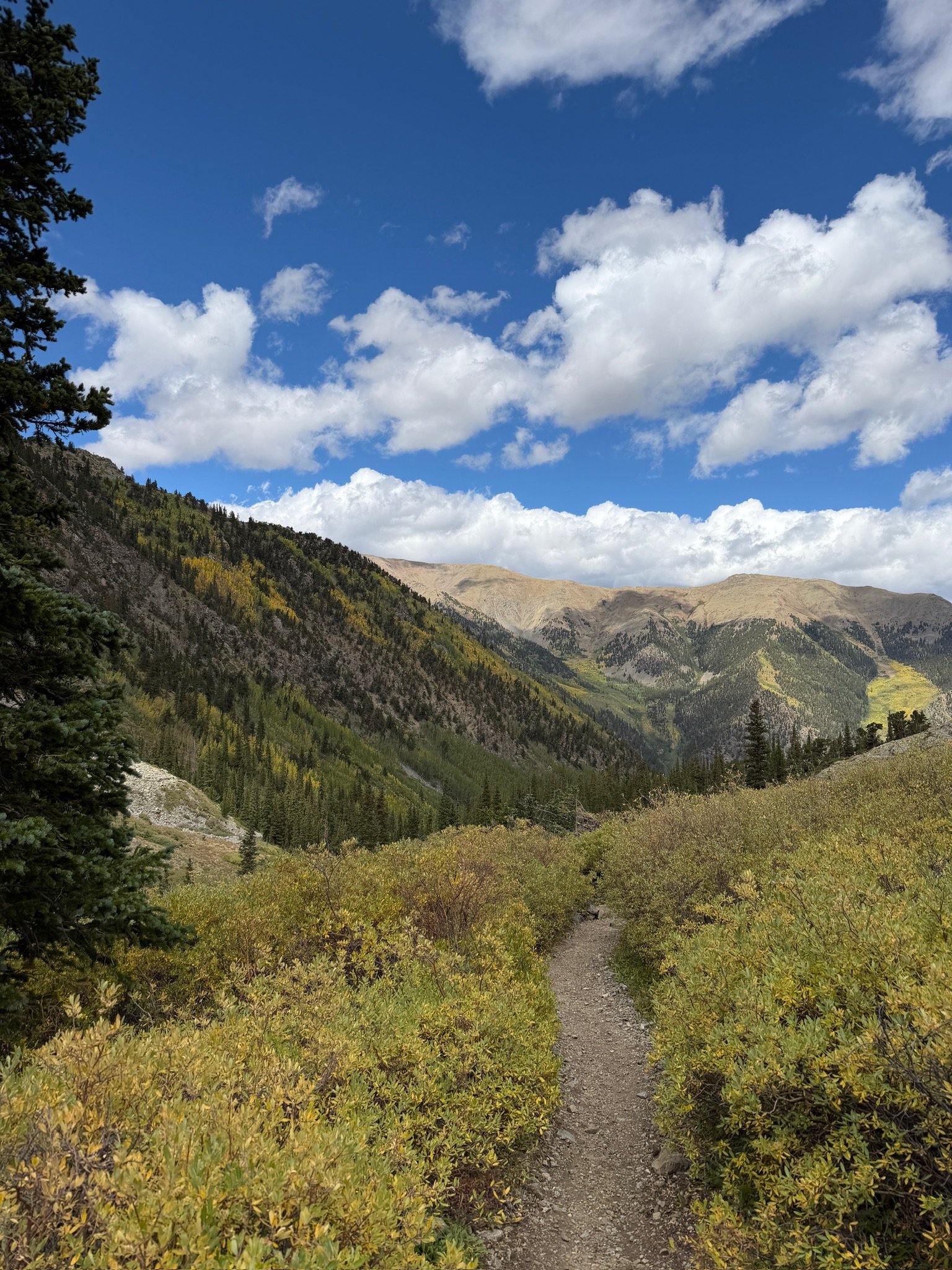 Thank You Colorado