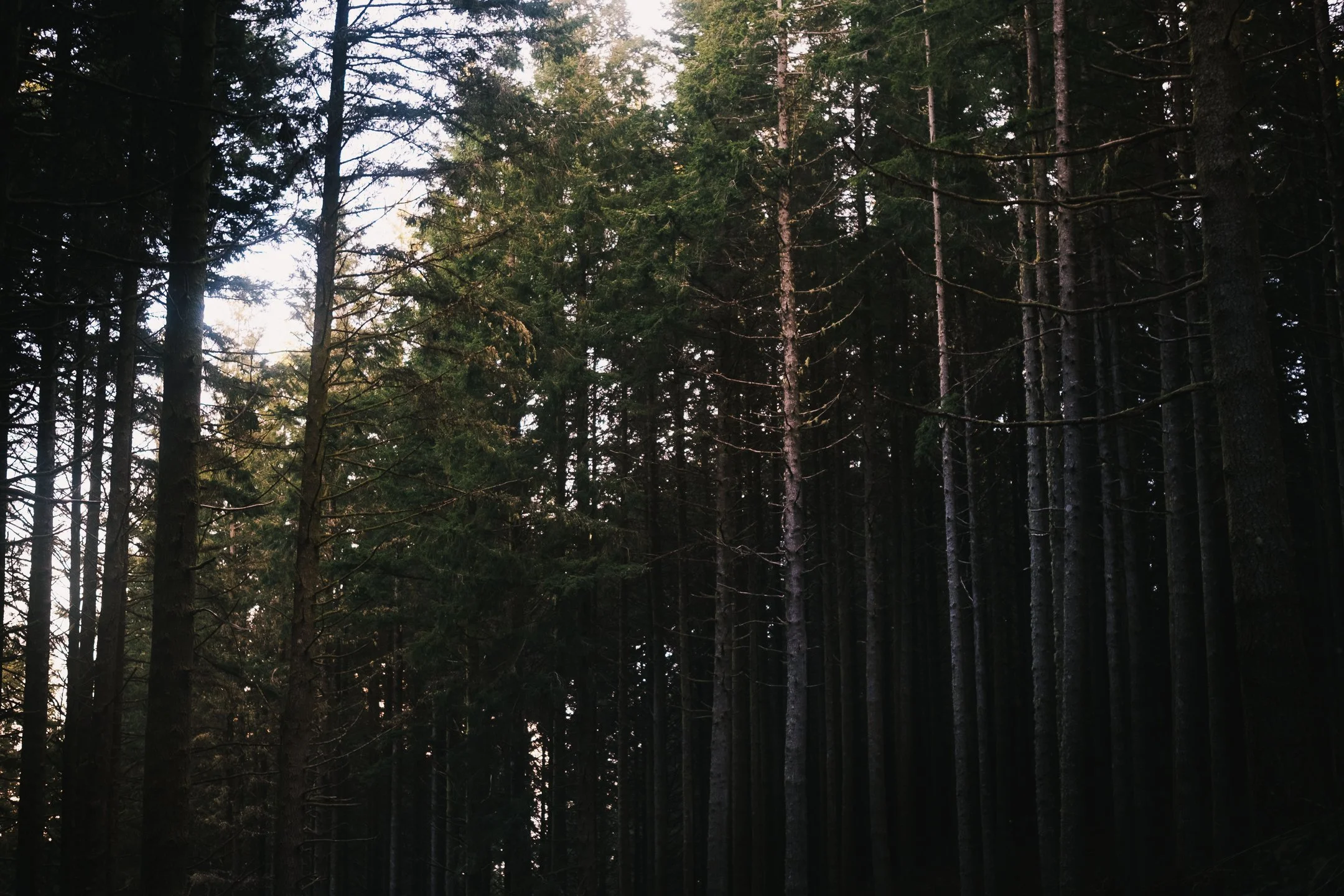 DSCF5309.jpg