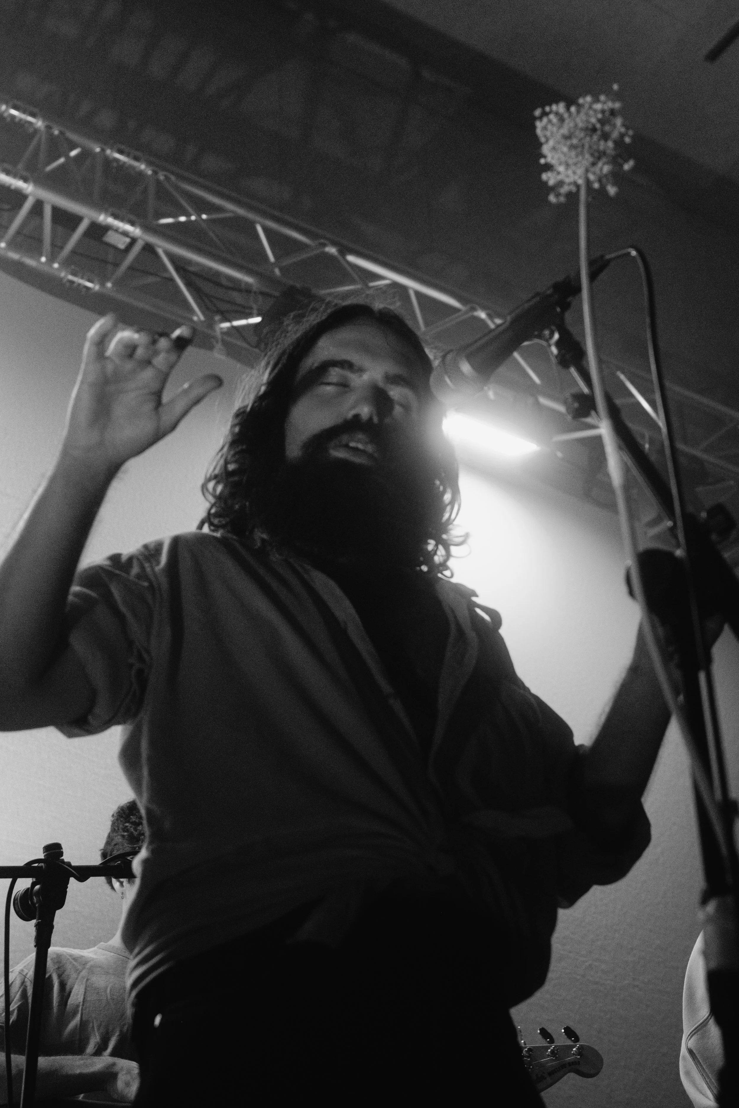 Concert - Luís Lucas