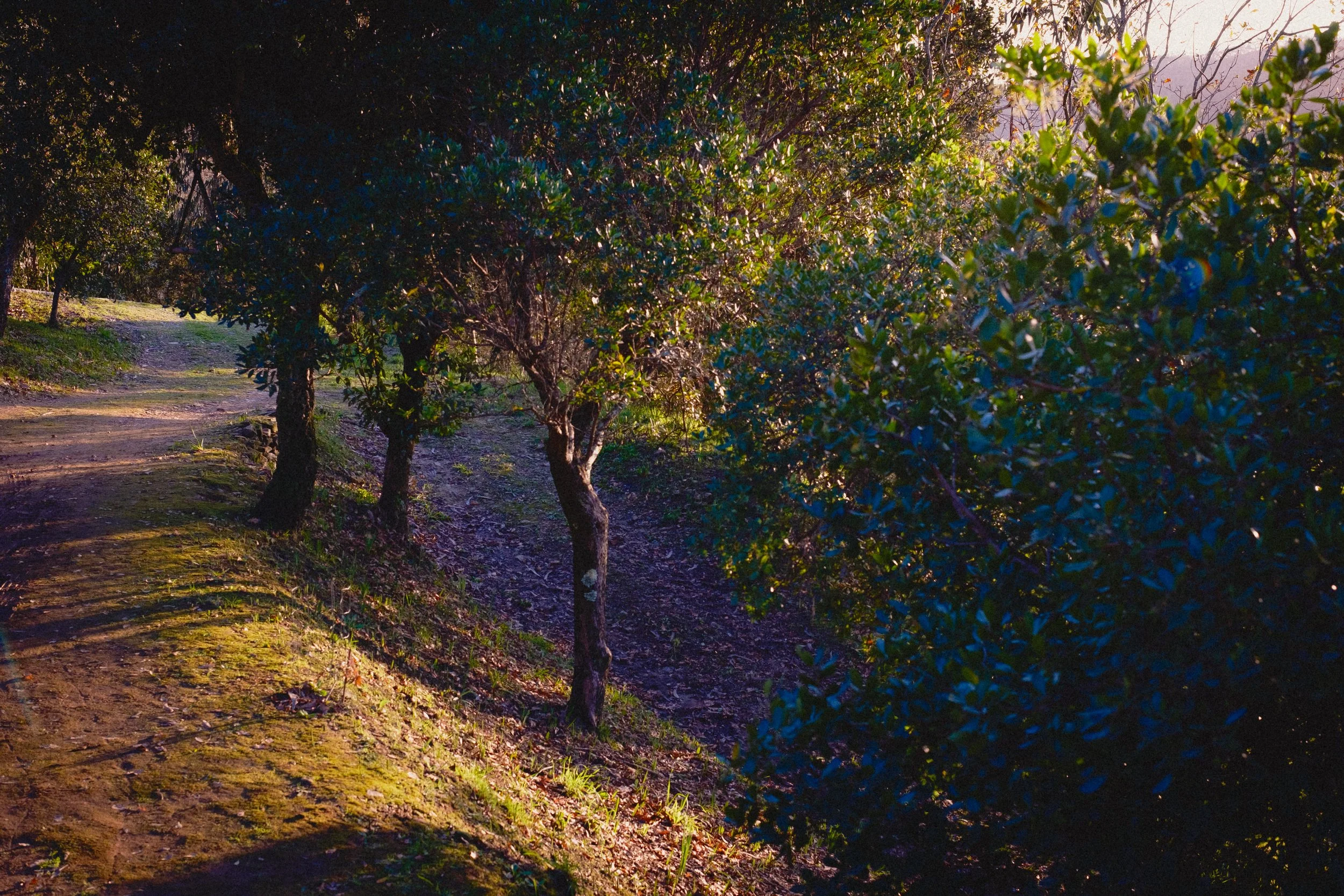 DSCF6070.jpg