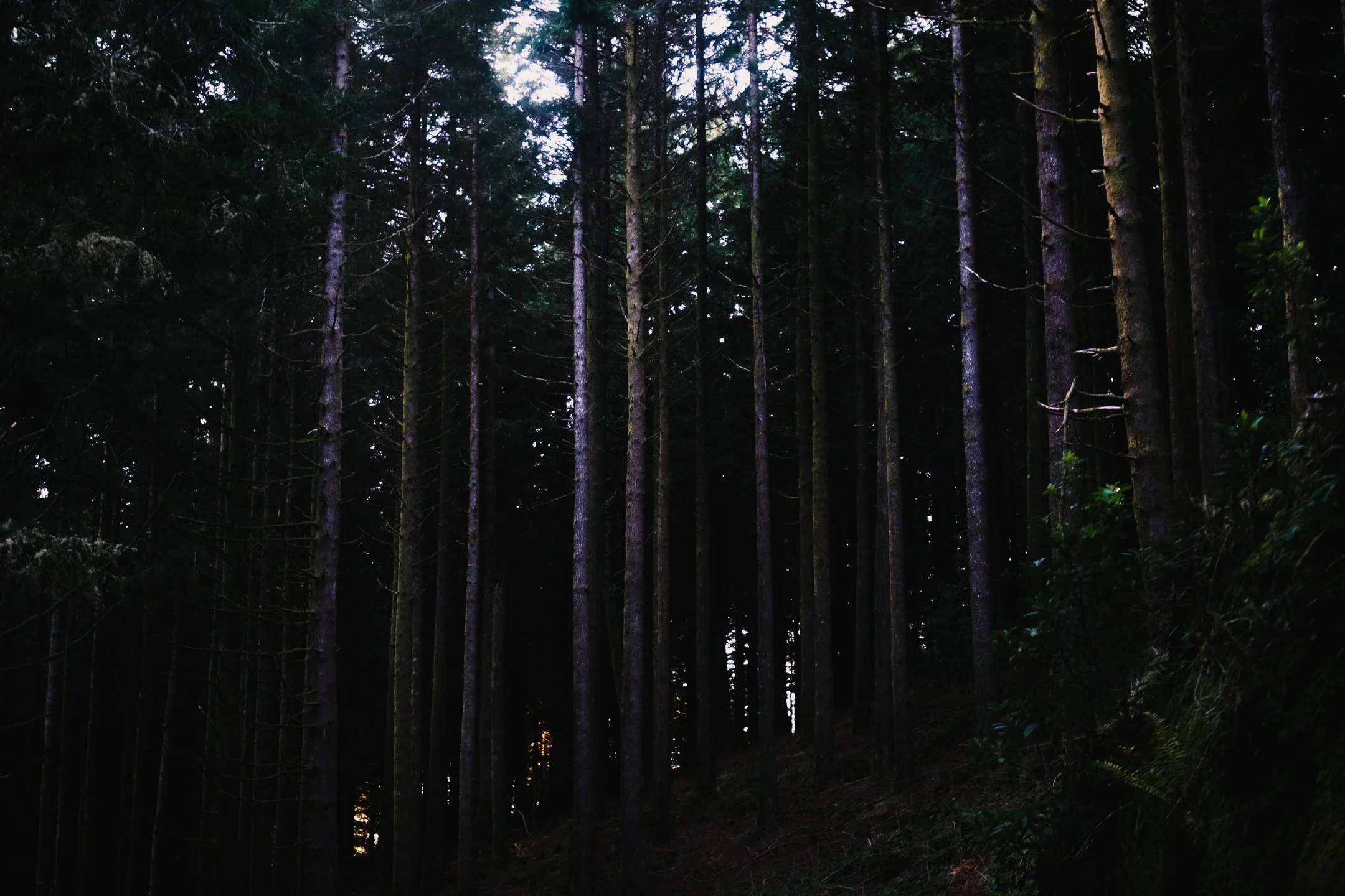 DSCF5304.jpg