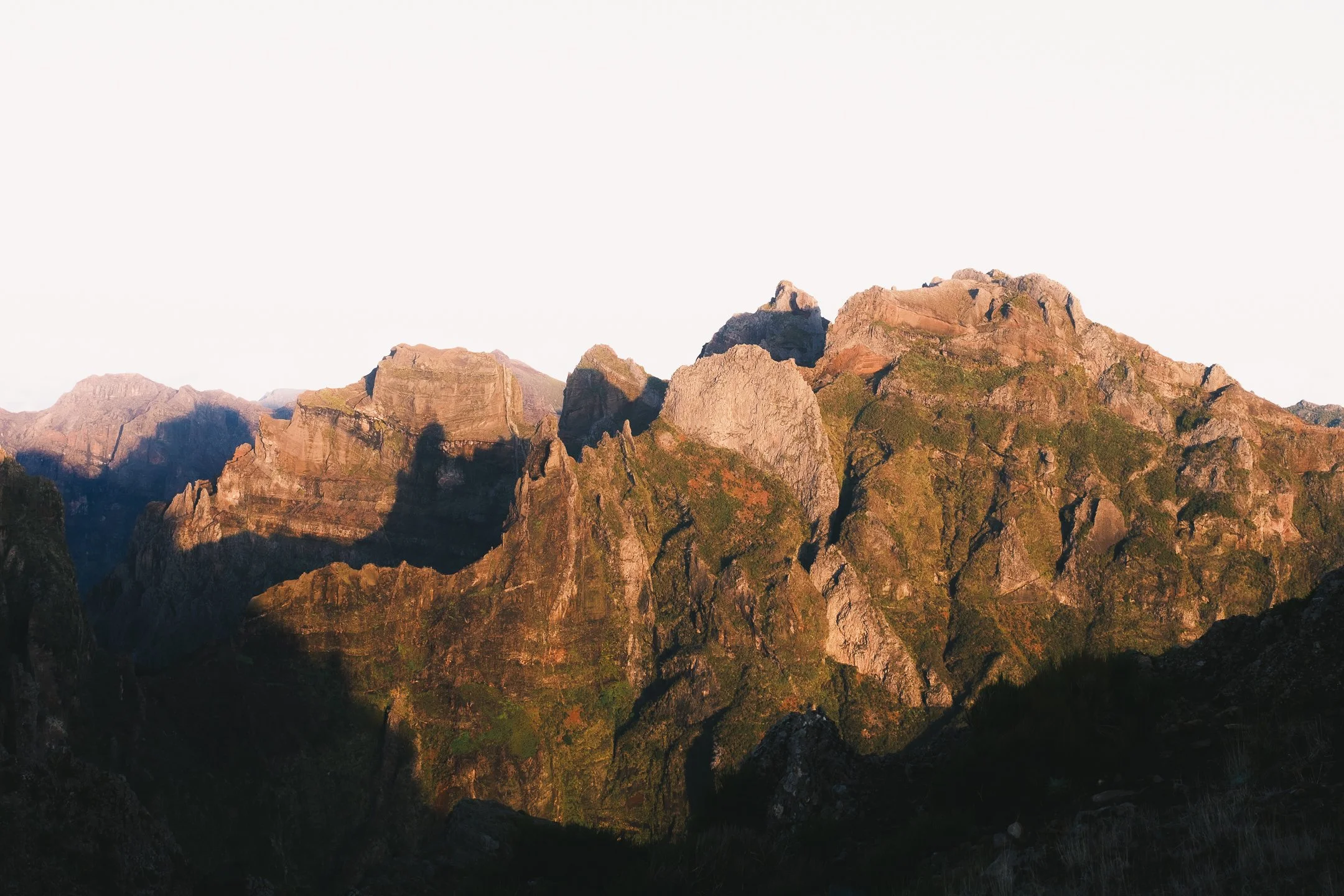 DSCF5262.jpg