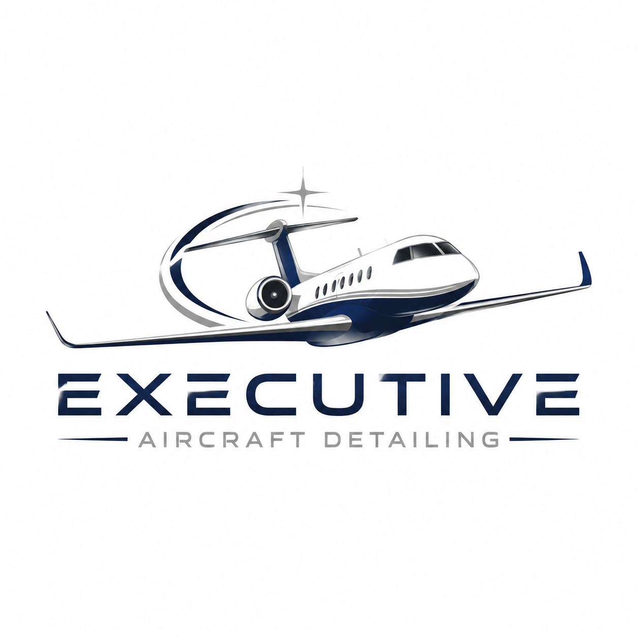 Executive Aircraft Detailing