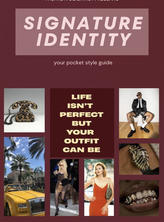 SIGNATURE IDENTITY STYLE GUIDE