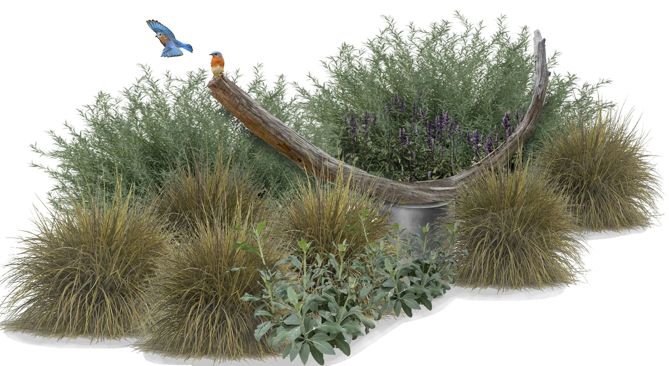 niche-land-art-cedar-arc-bluebirds.jpg