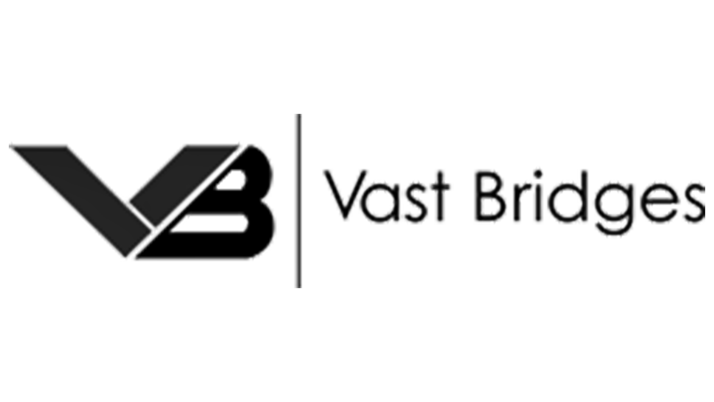 Content Manager at Vast Bridges