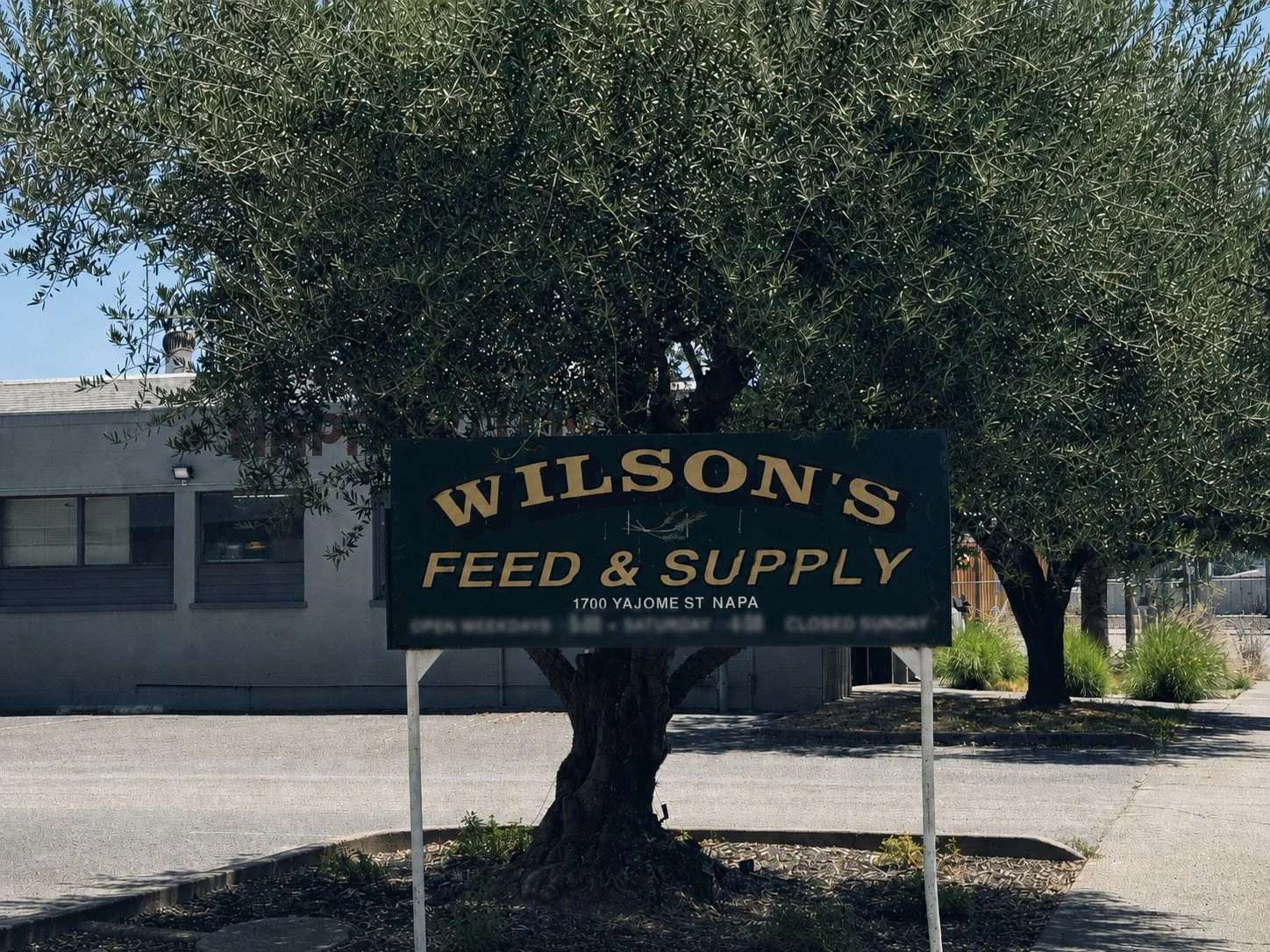 Wilson's Feed sign outside our family-owned feed store in Napa, California.