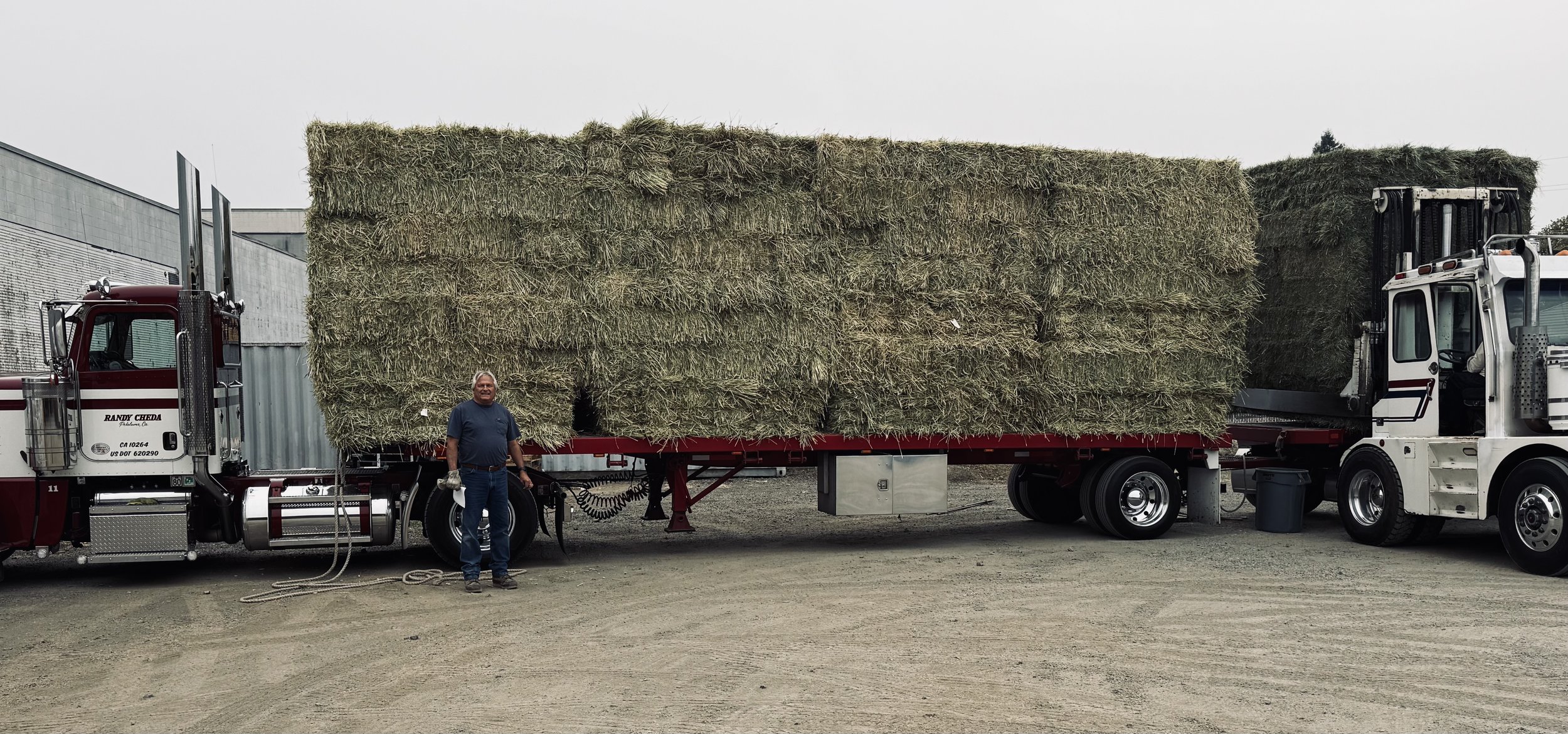 A man standing next to a semi-truck with a large flatbed trailer loaded with hay bales, outdoors on a cloudy day.