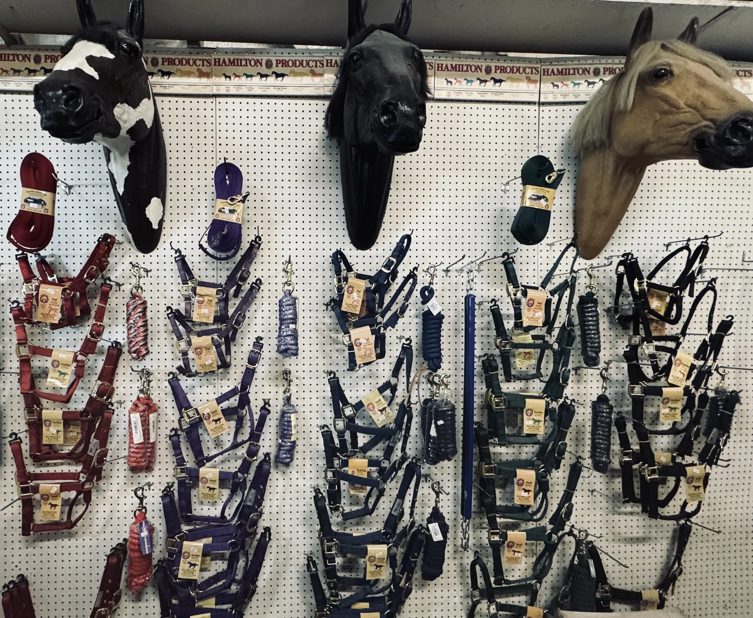 Display of horse halters and bridles hanging on a pegboard in a store, with a row of boxes labeled 'Hamilton Products' in the background.
