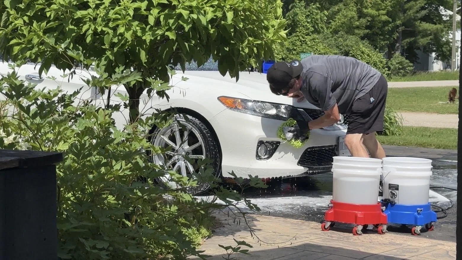 A man washing a white car with a high-pressure water cleaner outdoors, surrounded by green bushes, with buckets of cleaning supplies nearby.