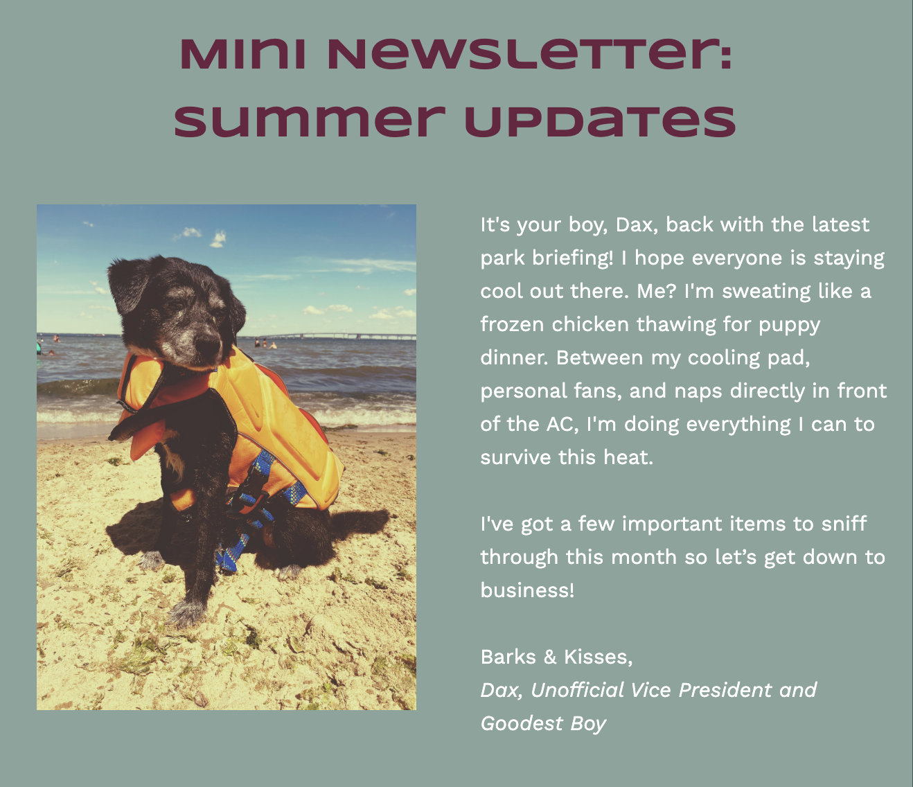 Mini Newsletter - Summer Updates