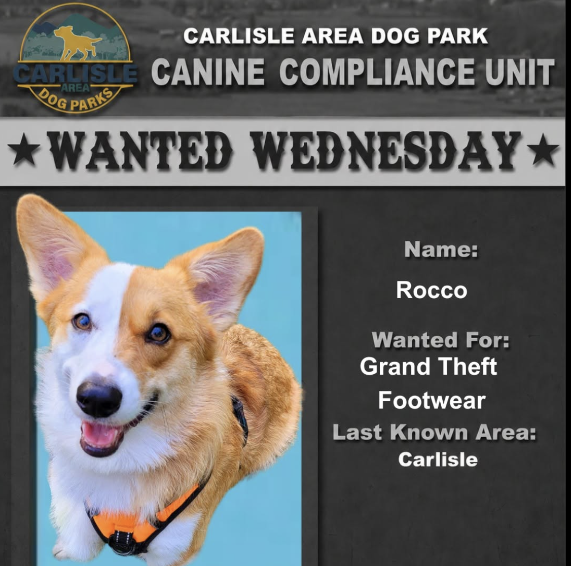 Wanted Wednesdays at CADPA