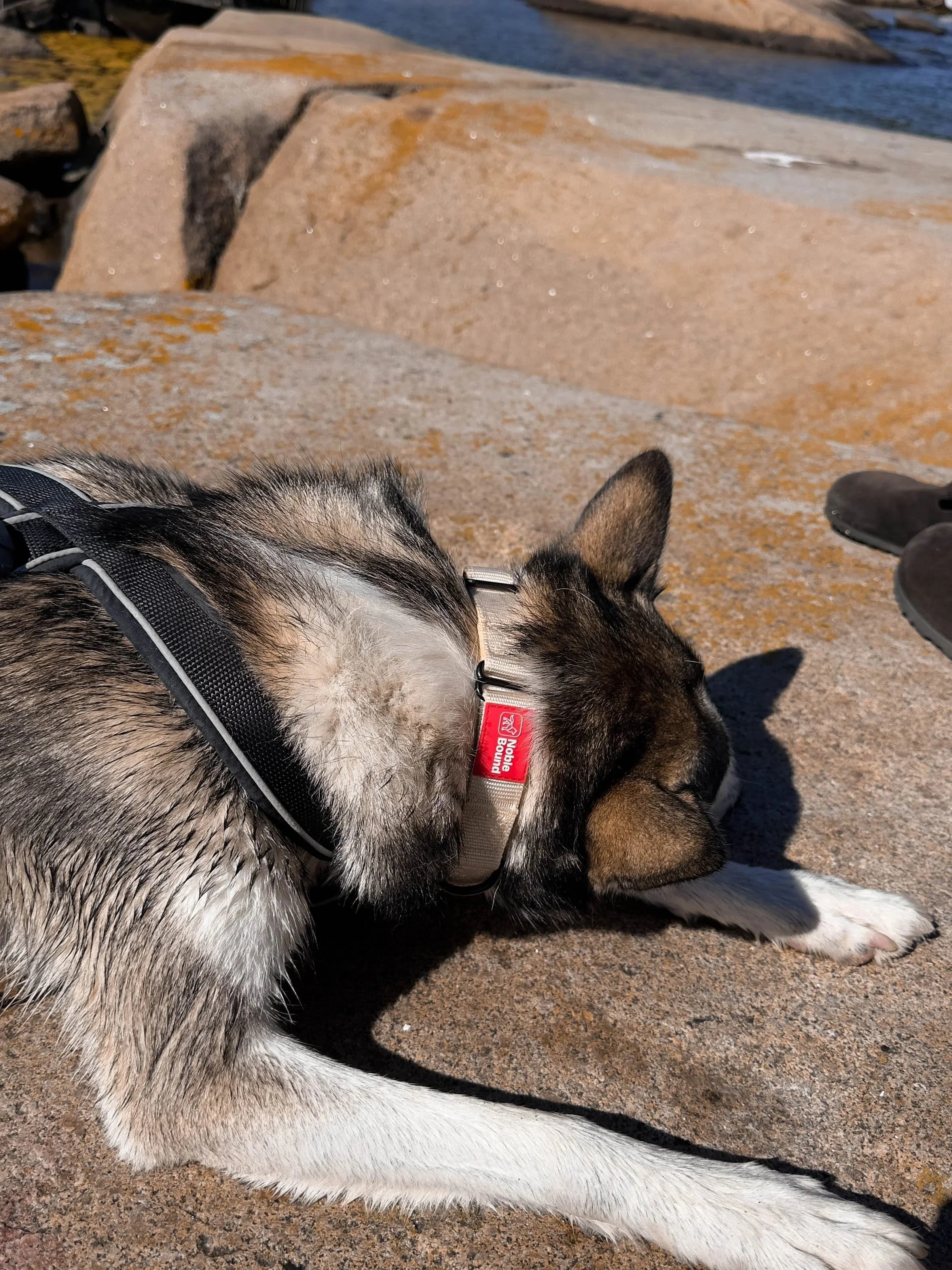 IMG_7344+2-1.jpg