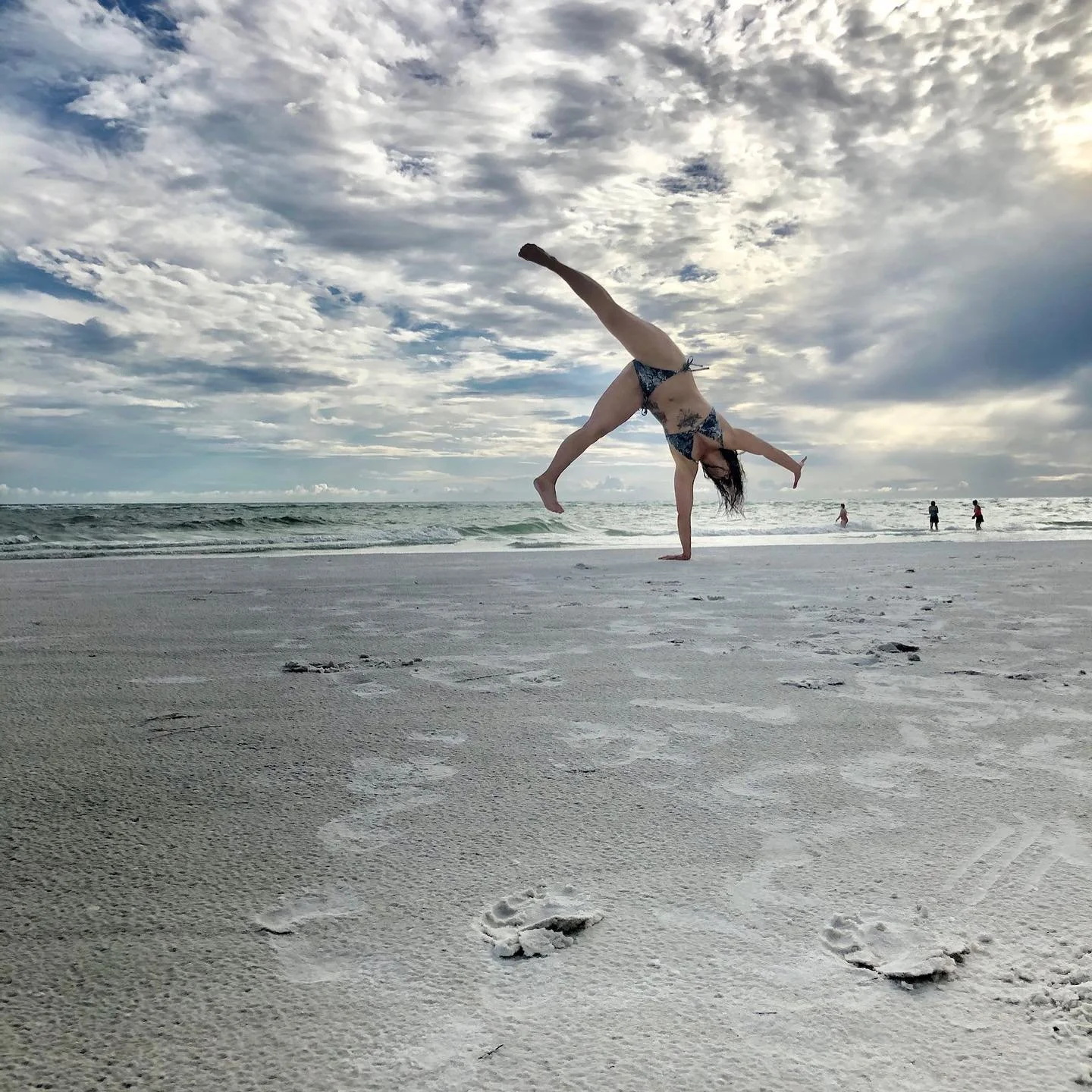 How far do dolphins see when the sea is dark, murky, and stirred up? 

It can be so crystal clear at times, and when you think you have it you&rsquo;re in the thick of it again.
The most simplest questions become daunting.

I&rsquo;ve been plugging a