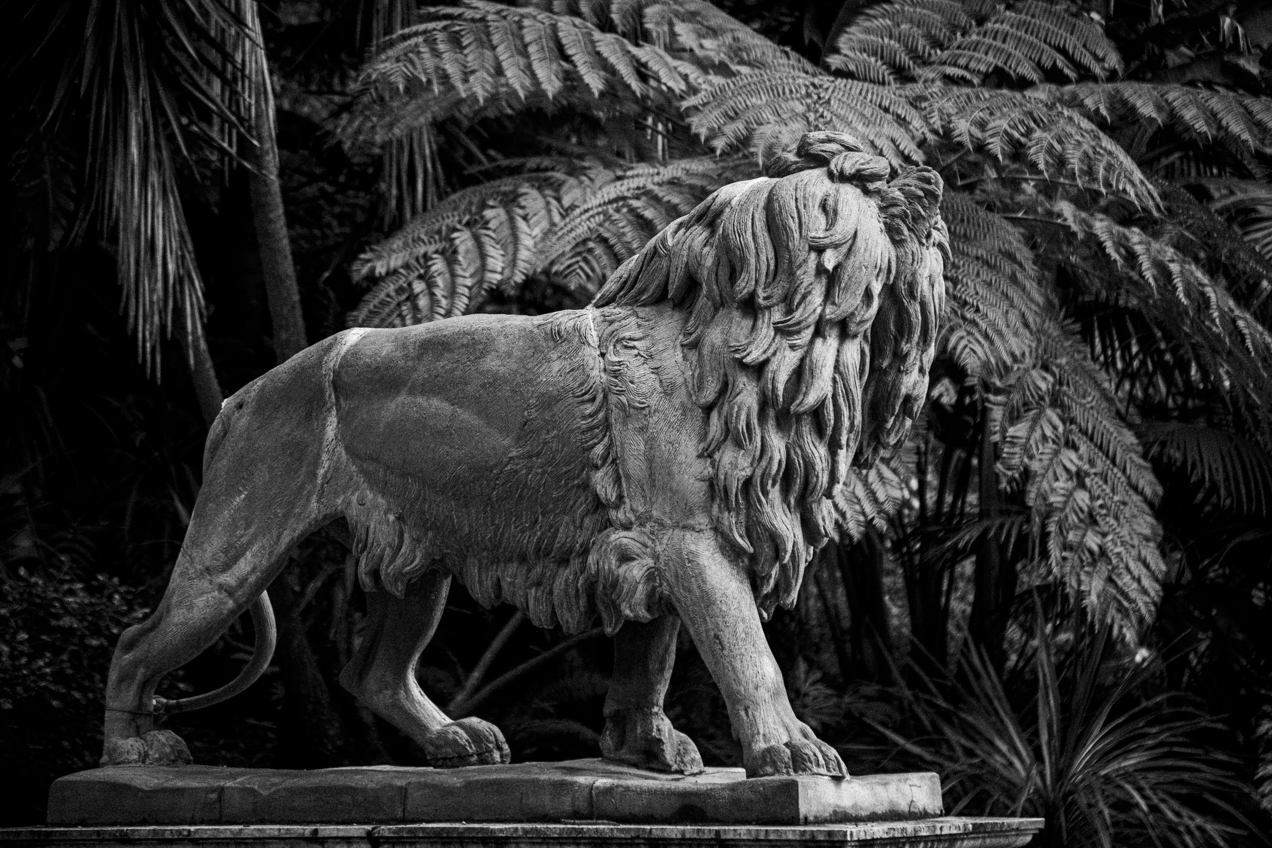 stone lion image