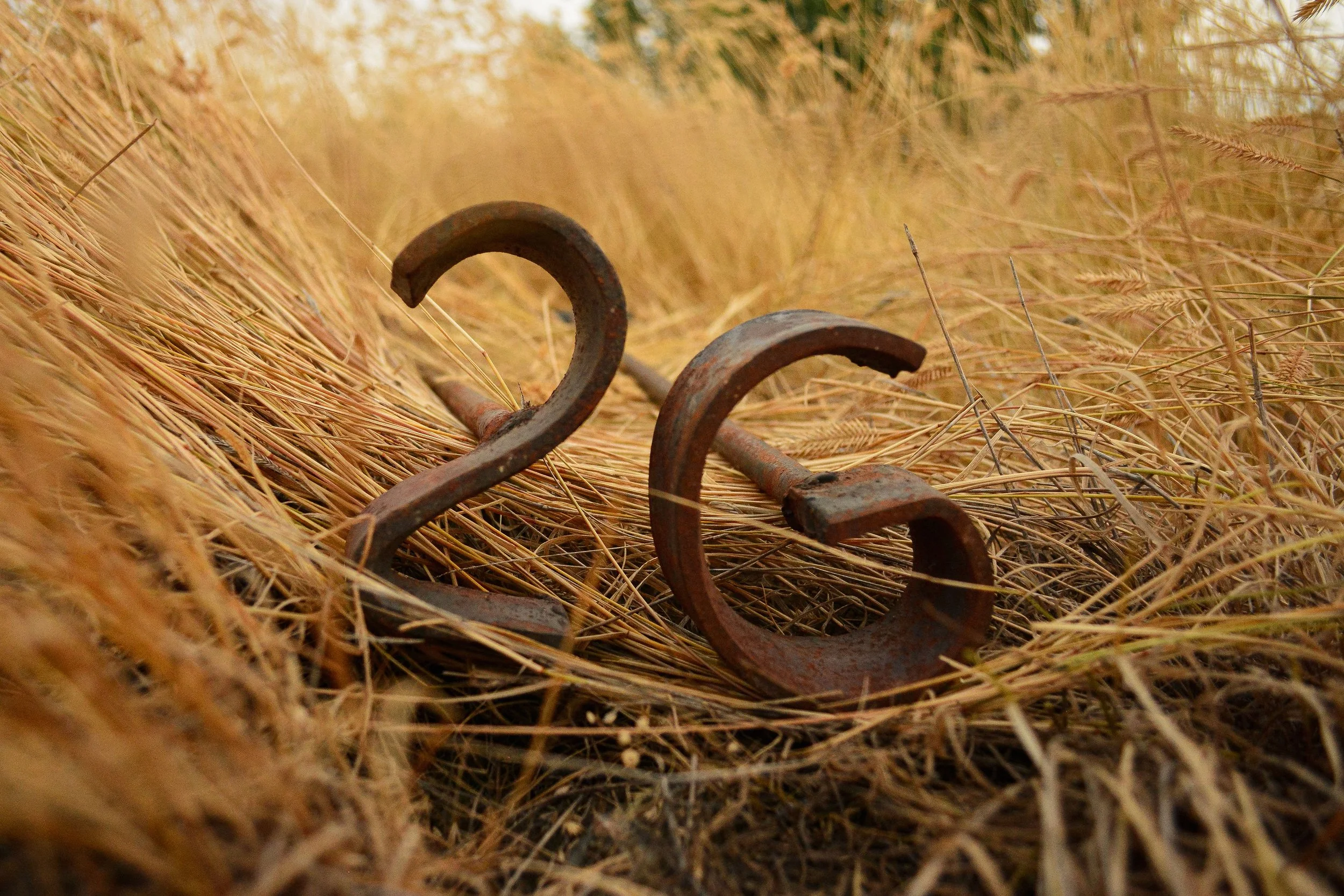 2G ranch branding irons resting in prairie grass