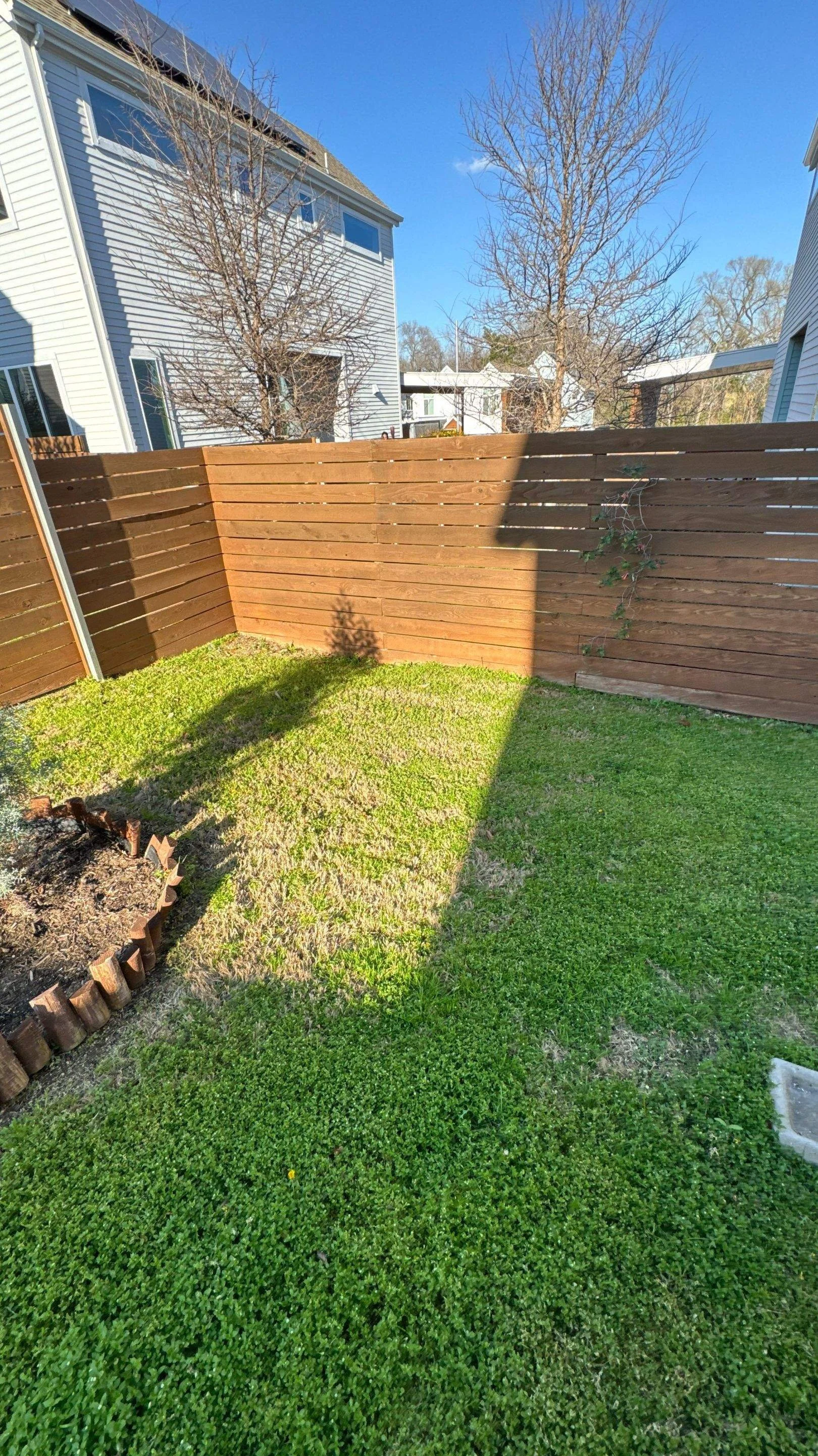 A backyard with a green lawn, a small garden bed in the corner, a wooden privacy fence, and a few leafless trees under a clear blue sky.