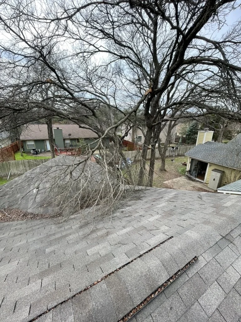 A fallen tree branch on a roof in a residential neighborhood, with houses and a fenced yard in the background.
