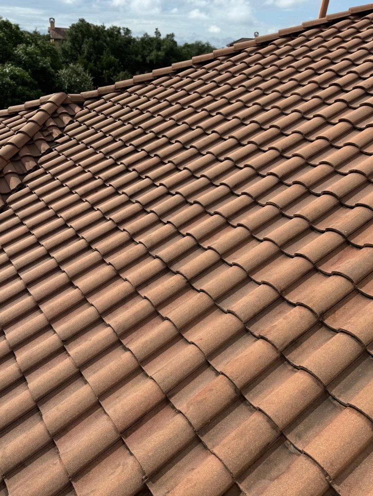 Close-up of a brown tiled roof on a house with a background of green trees and cloudy sky.