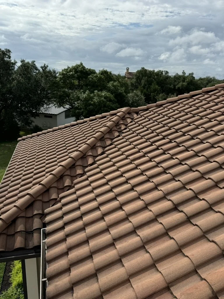 Close-up of a tiled roof on a house with trees and a cloudy sky in the background.